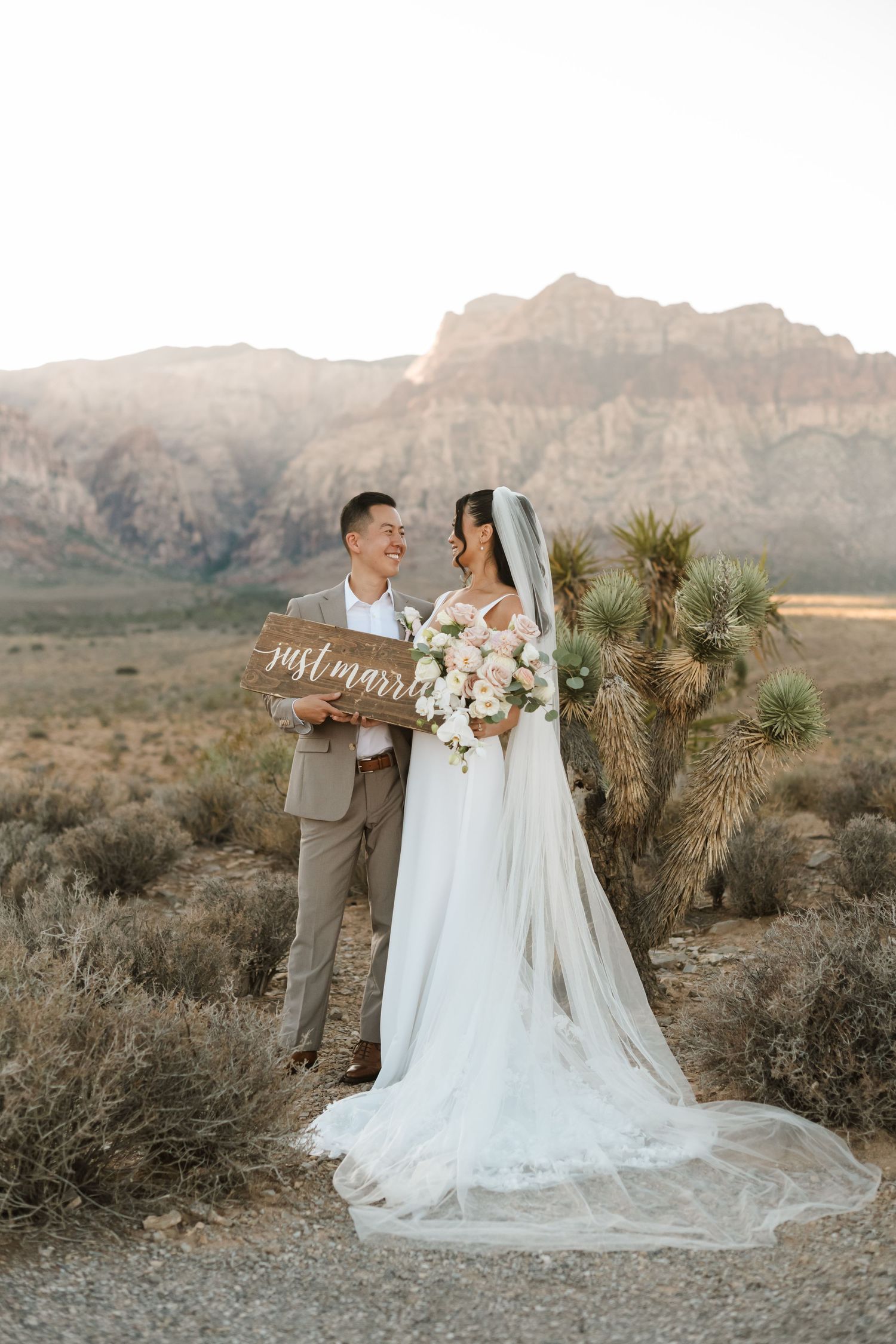 Newlywed couple holding a just married sign in the desert with Red Rock Canyon mountains in the background.