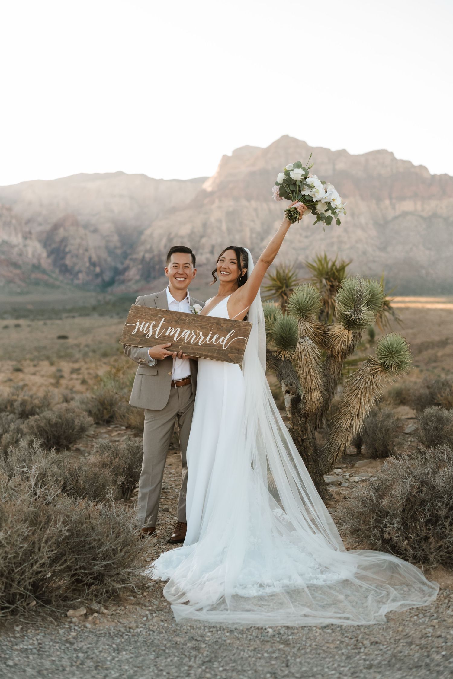 Newlyweds holding a just married sign in Red Rock Canyon desert landscape with mountains behind them.