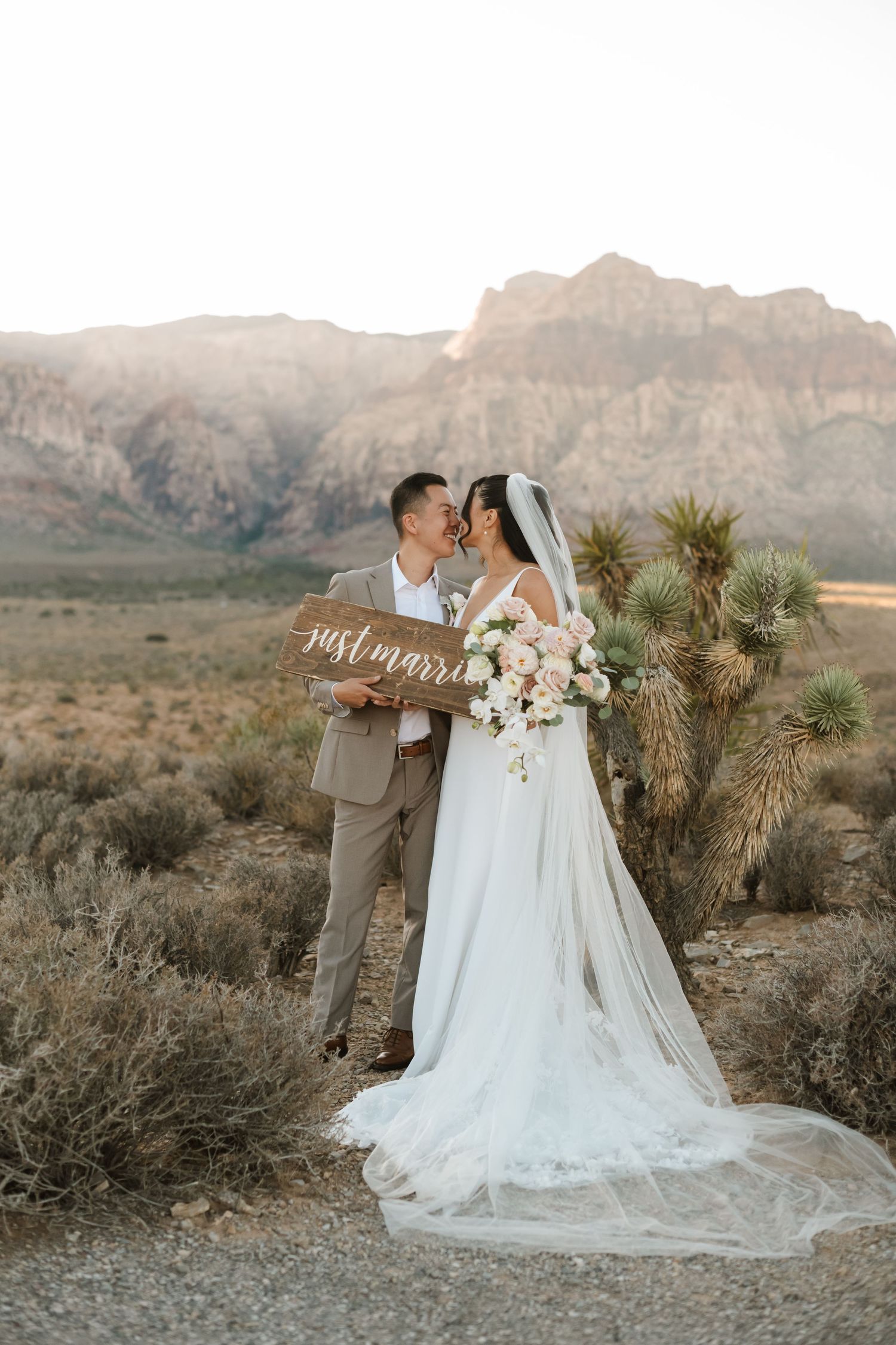 Newlyweds hold a just married sign in Red Rock Canyon desert landscape with mountains and Joshua trees backdrop.