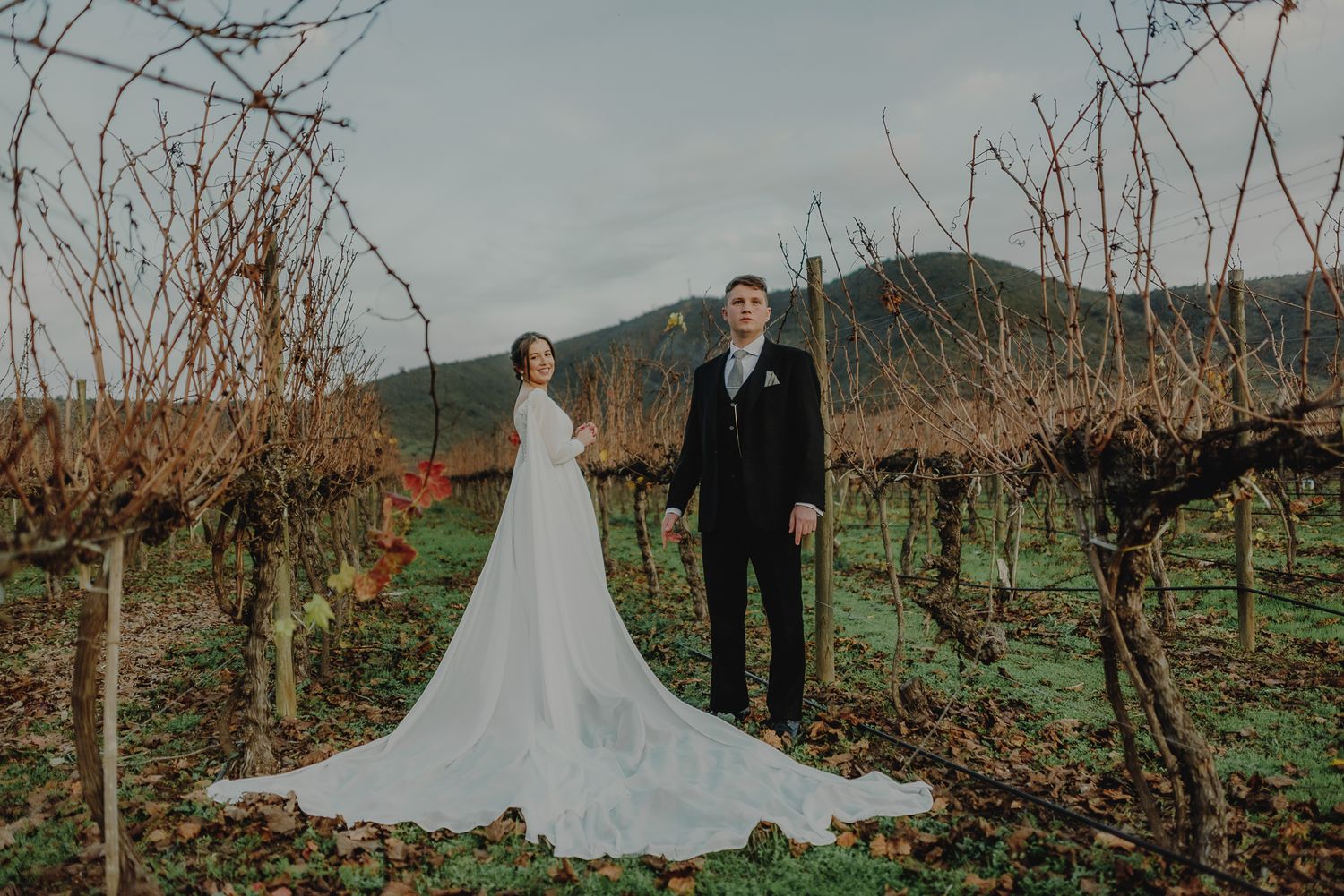 A wedding couple poses in a dormant vineyard with mountains in the background.