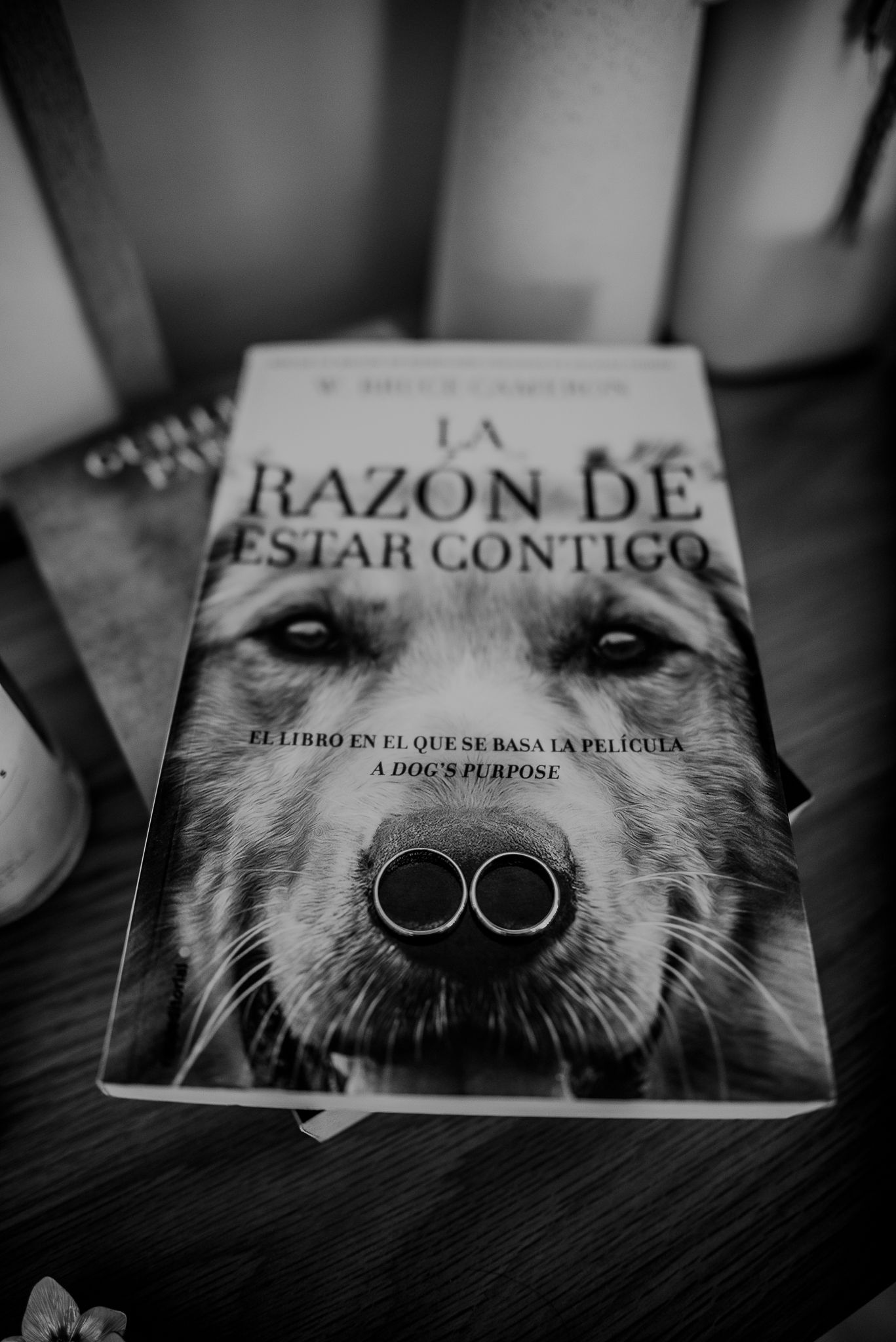 Wedding rings placed on a book titled 'La Razon De Estar Contigo' with a dog's nose in black and white.