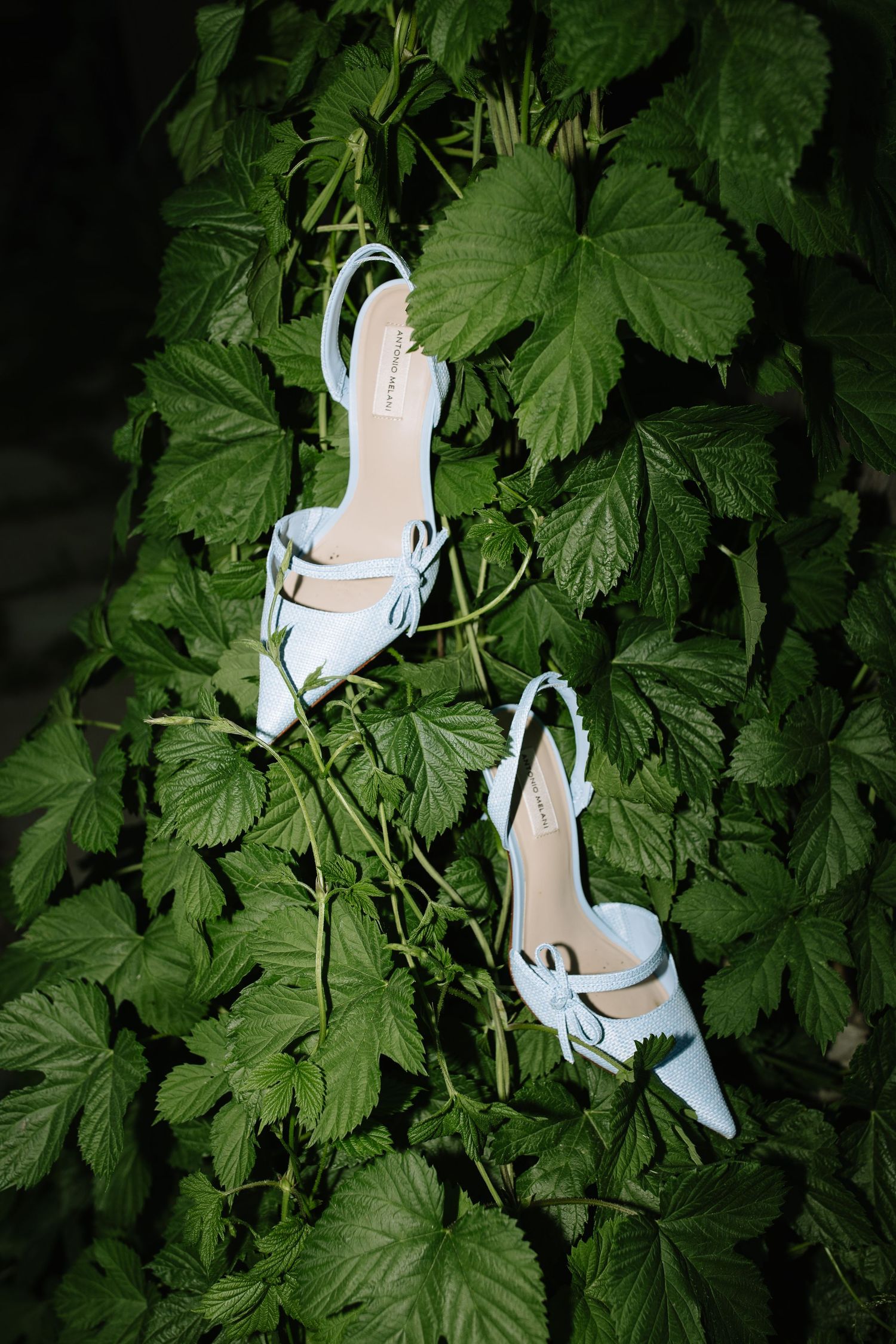 Light blue high heel sandals elegantly placed among lush green foliage in an artistic garden setting.