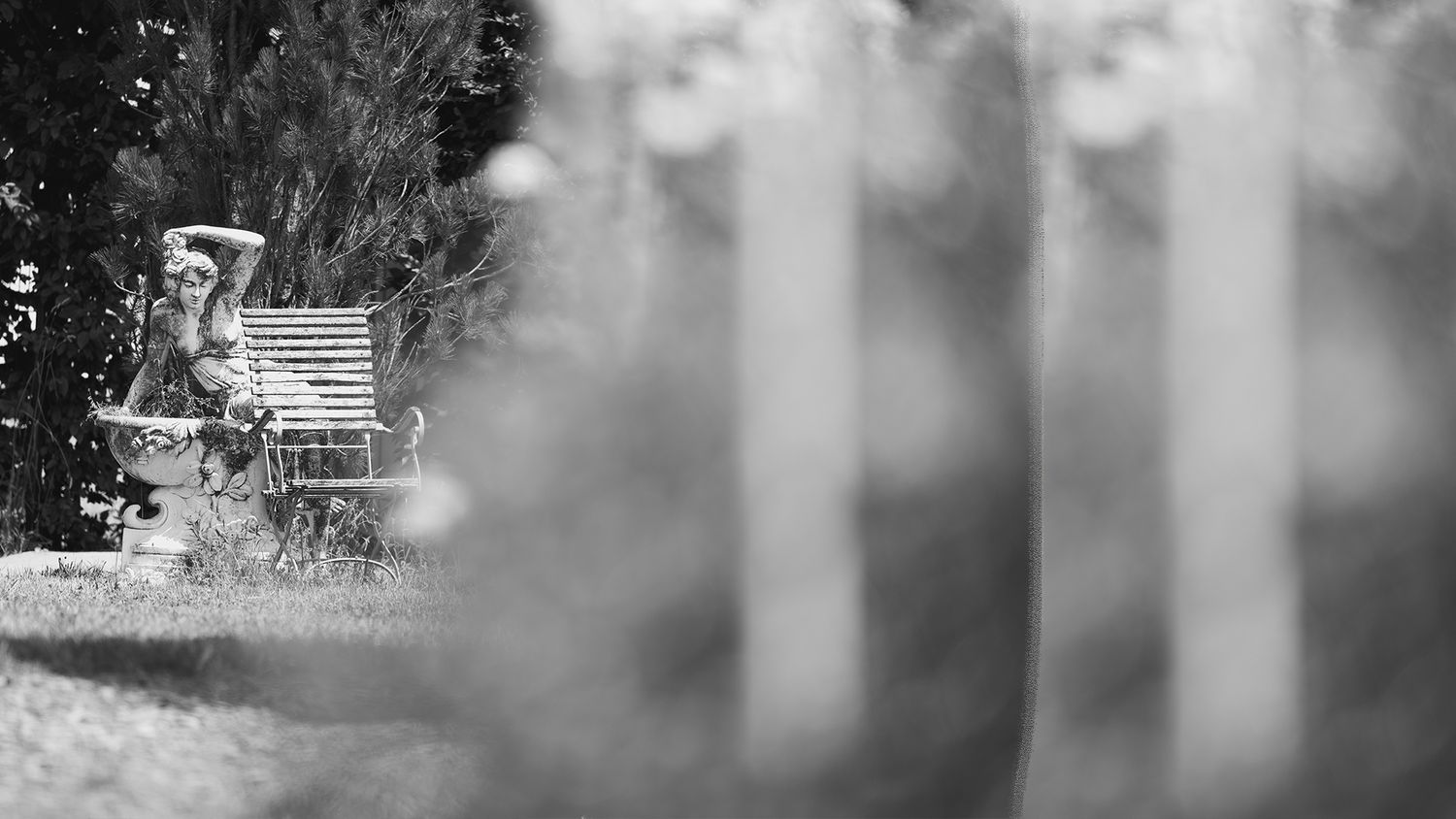 Black and white photo of a person relaxing on a park bench surrounded by blurred trees in a serene outdoor setting.