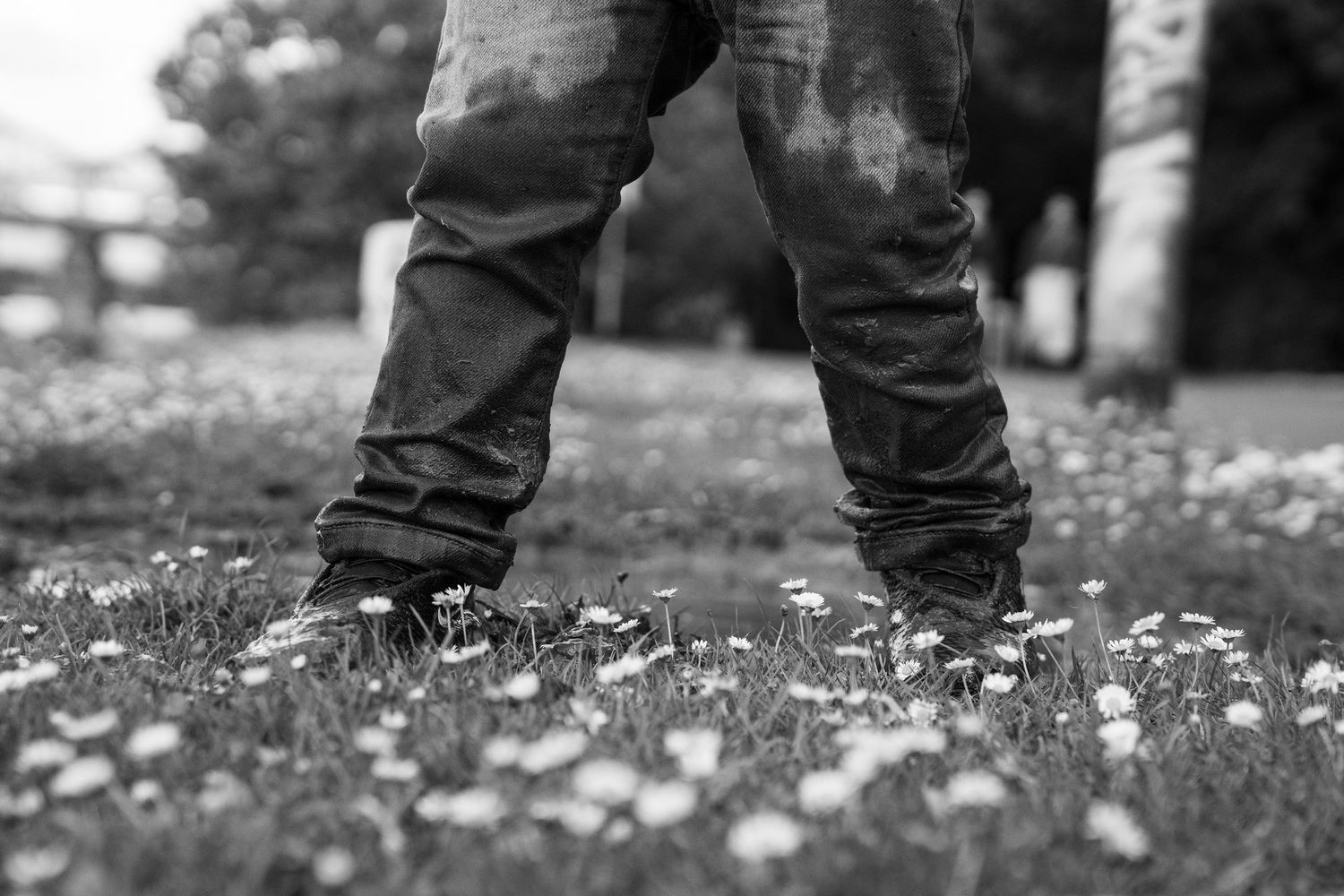 A person wearing black jeans and boots walks across a field of scattered white flower petals on the ground.