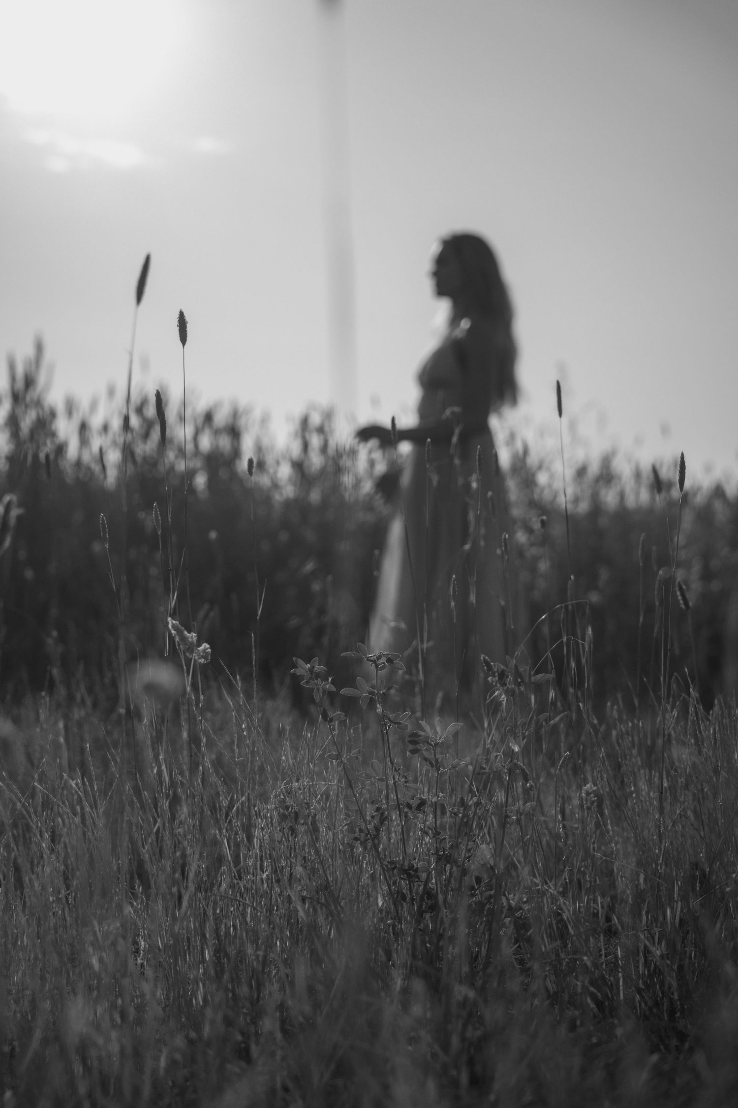 A silhouetted figure stands in a field of tall grass against a moody black and white sky.