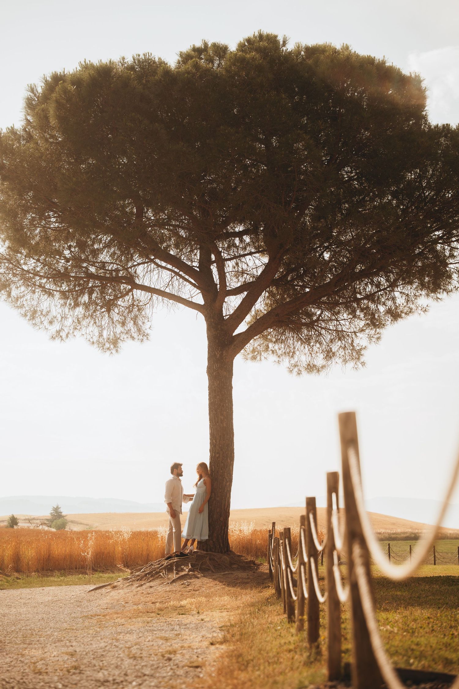 Couple standing under a large umbrella pine tree in golden Tuscan countryside at sunset.