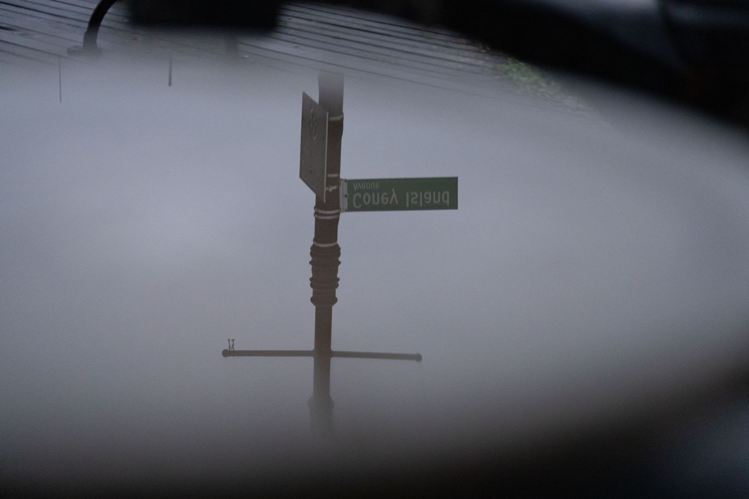 Dark silhouette of street signs and poles against a foggy sky.