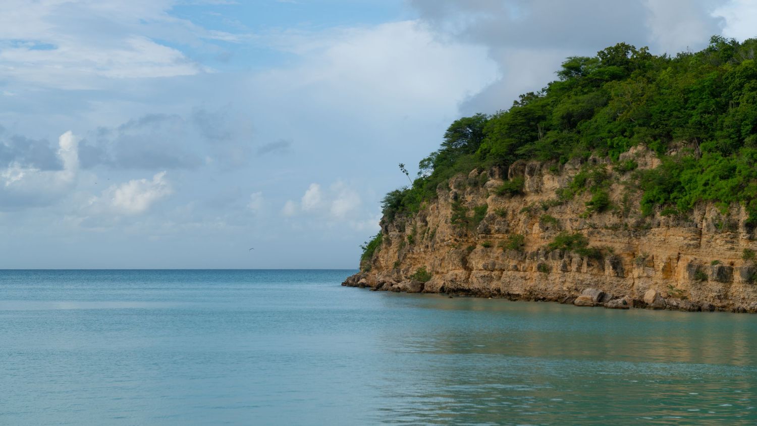Dramatic limestone cliffs meet turquoise Caribbean waters along a tropical coastline under blue skies.