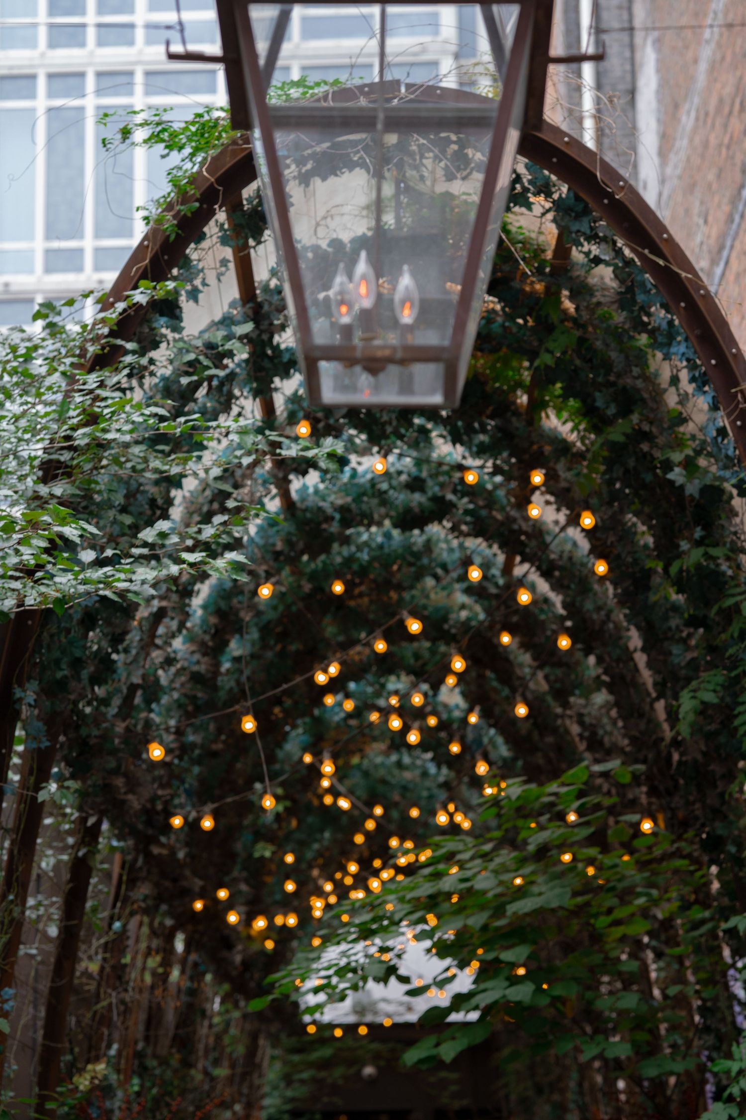 Enchanting garden archway decorated with twinkle lights and climbing vines creating a magical tunnel effect.