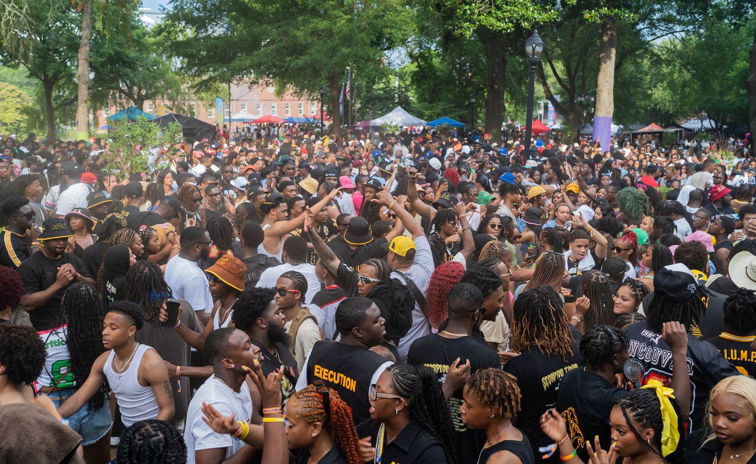 Large crowd gathering at outdoor festival event under green tree canopy.