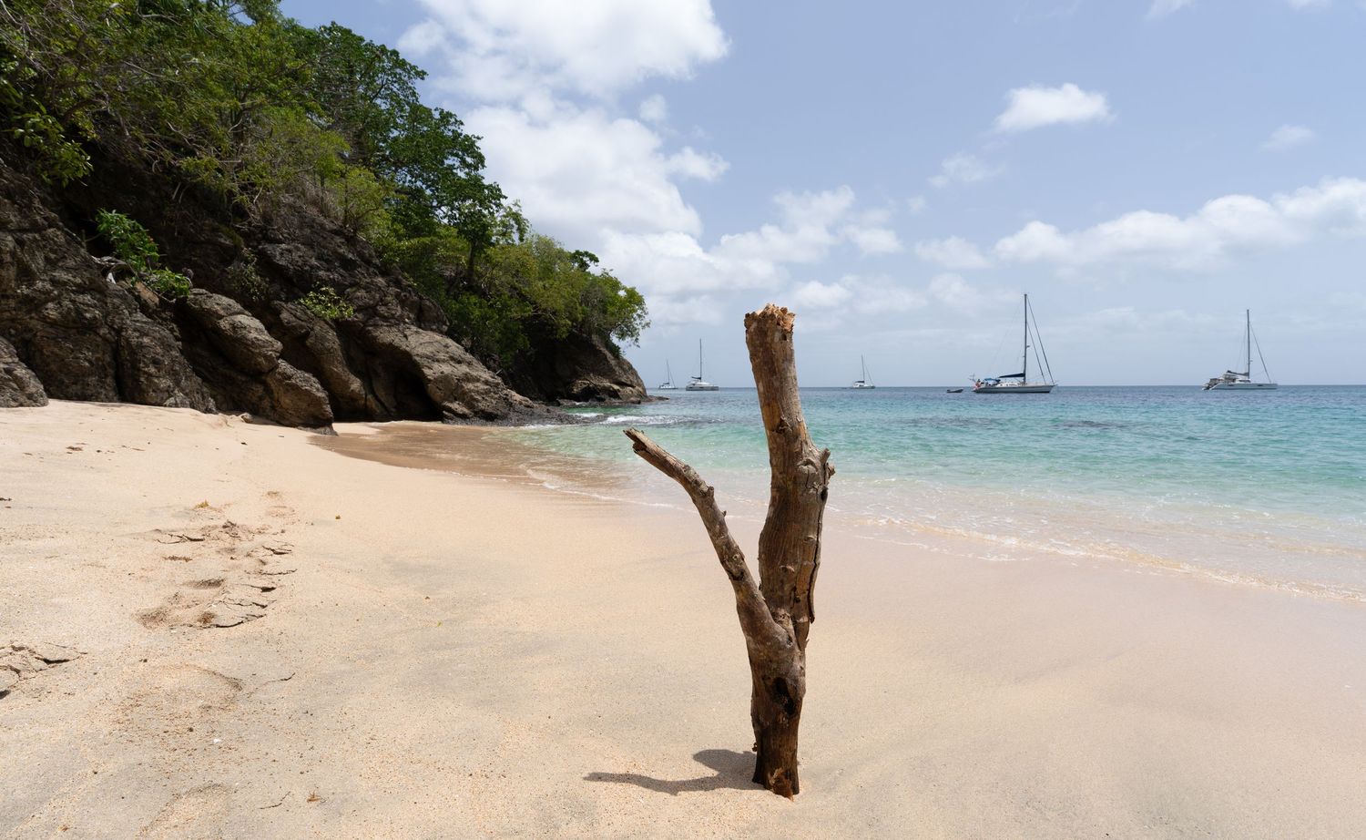 Pristine Caribbean beach with weathered driftwood and sailboats anchored in turquoise waters.