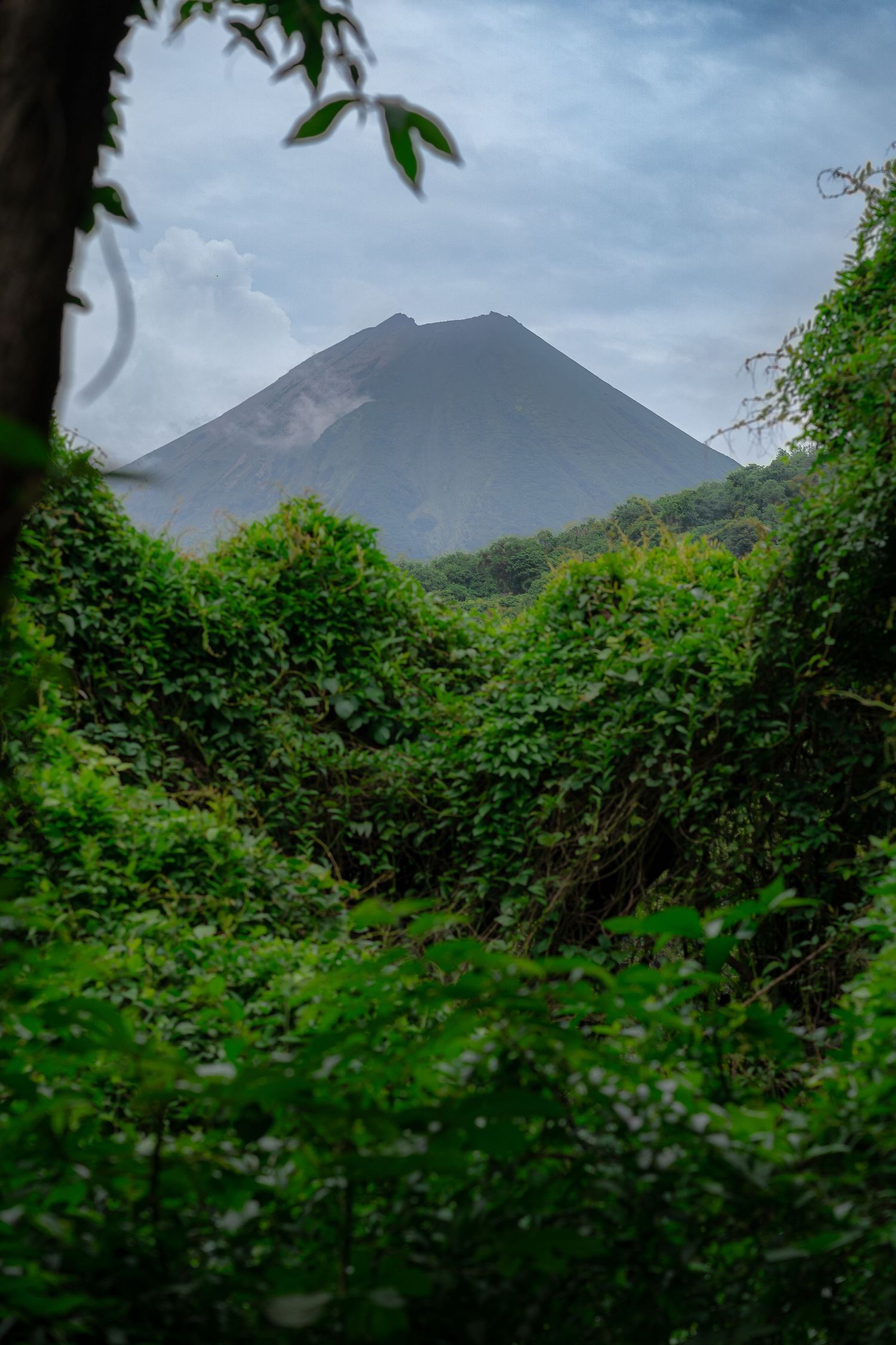Majestic volcano peak rising above dense jungle vegetation under cloudy skies.