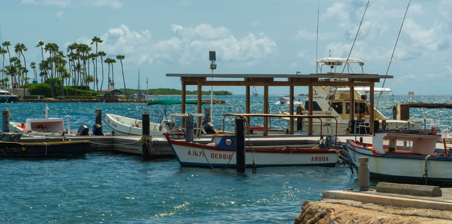 Marina with boats docked along a tropical waterfront under blue skies.
