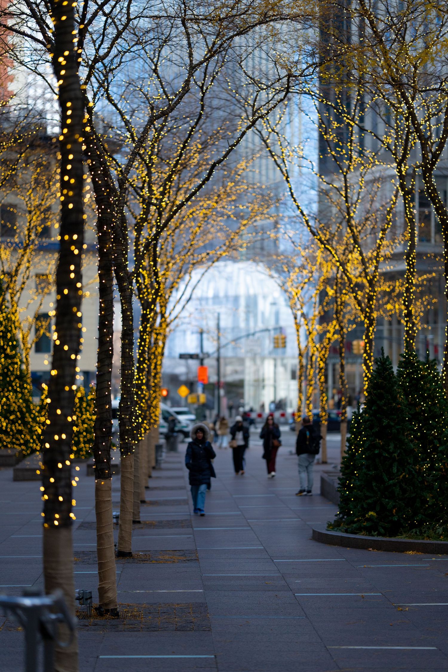 Trees decorated with holiday lights line an urban sidewalk as pedestrians walk past on a winter evening.