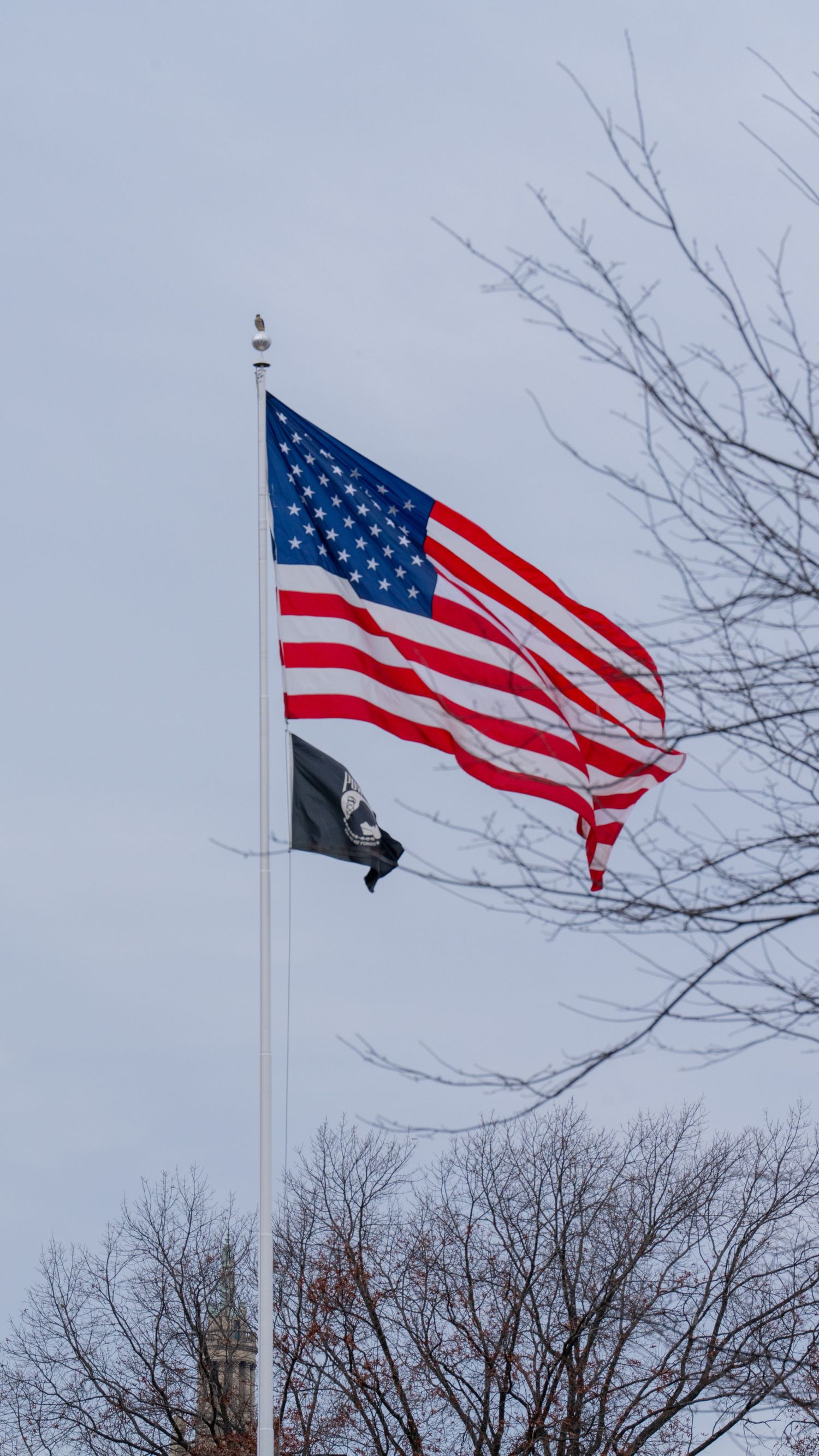 American flag waves proudly against a gray winter sky with bare tree branches visible in the background.