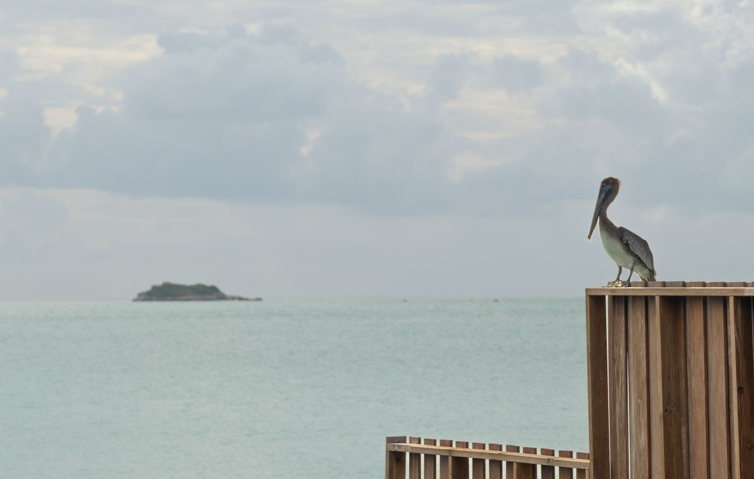 A brown pelican perches on a wooden post overlooking a tranquil ocean view with small islands in the distance.