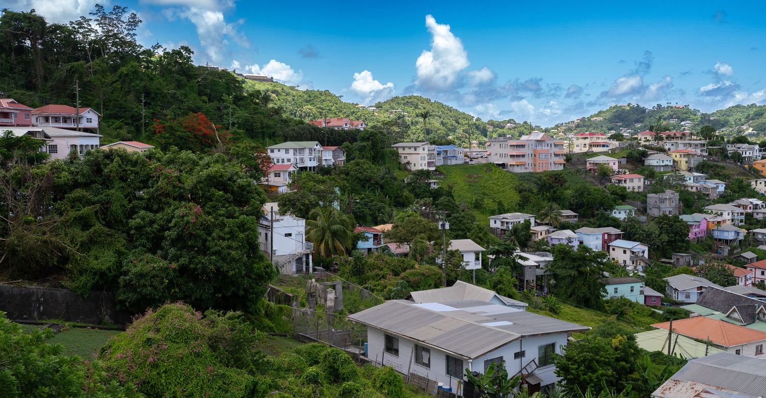 Hillside residential area with colorful houses nestled among tropical vegetation under blue skies.