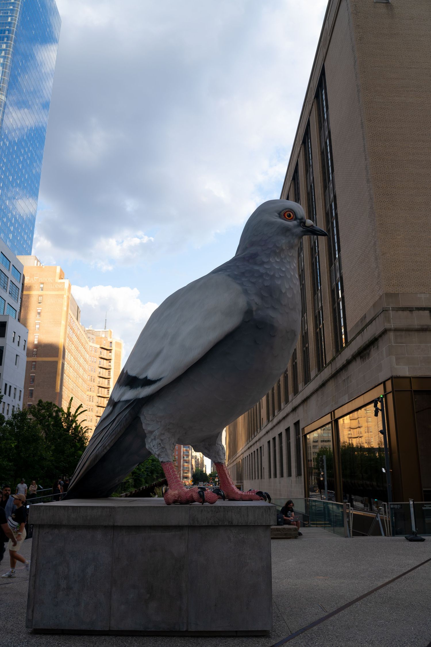 Gray pigeon perched on concrete ledge with urban buildings in background.