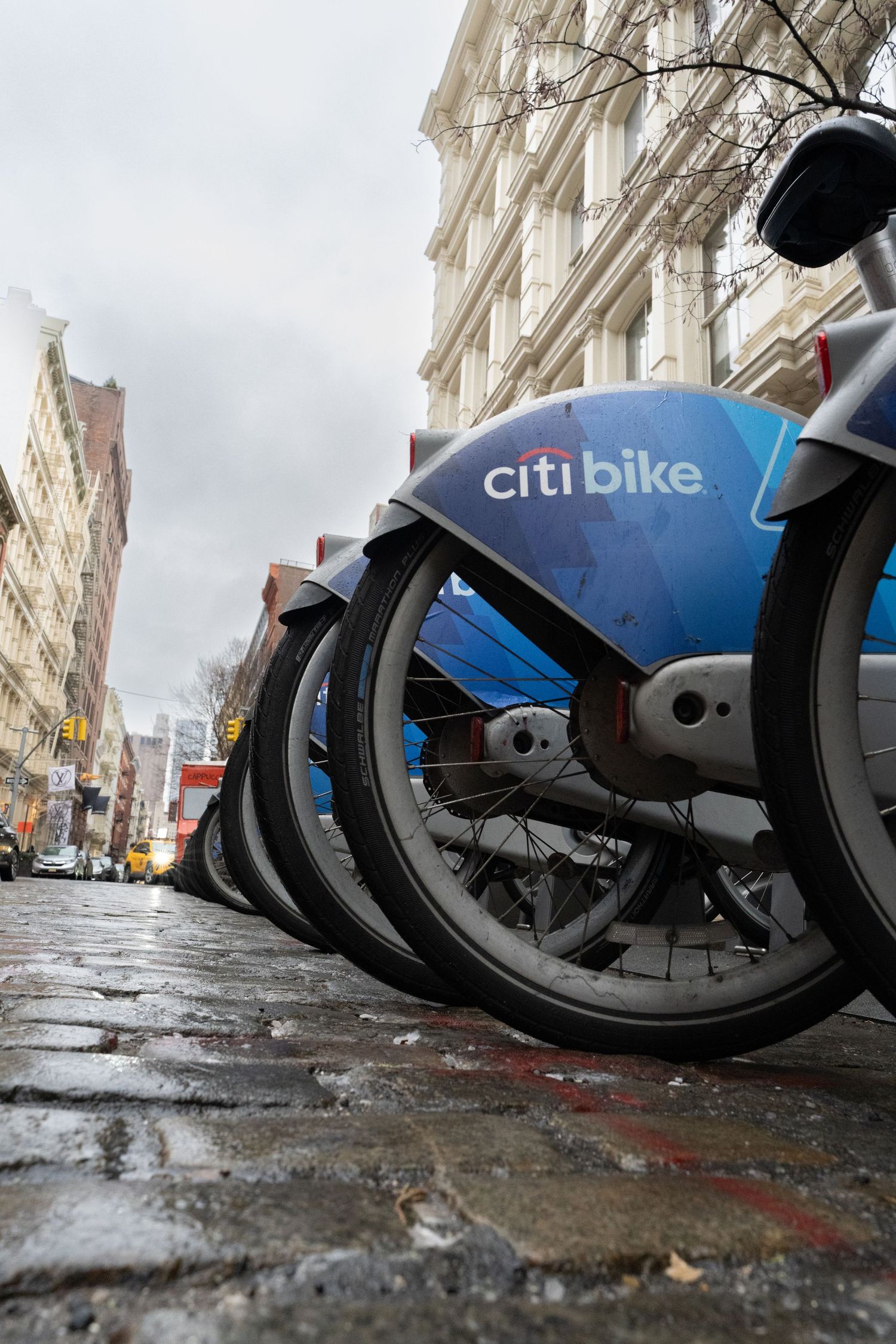 Close-up of Citibike wheels lined up on a wet city street.
