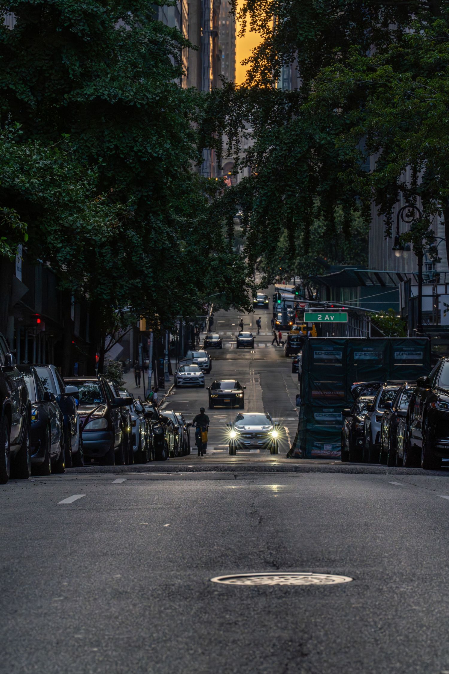 Tree-lined urban street at dusk with parked cars and golden light in the distance.