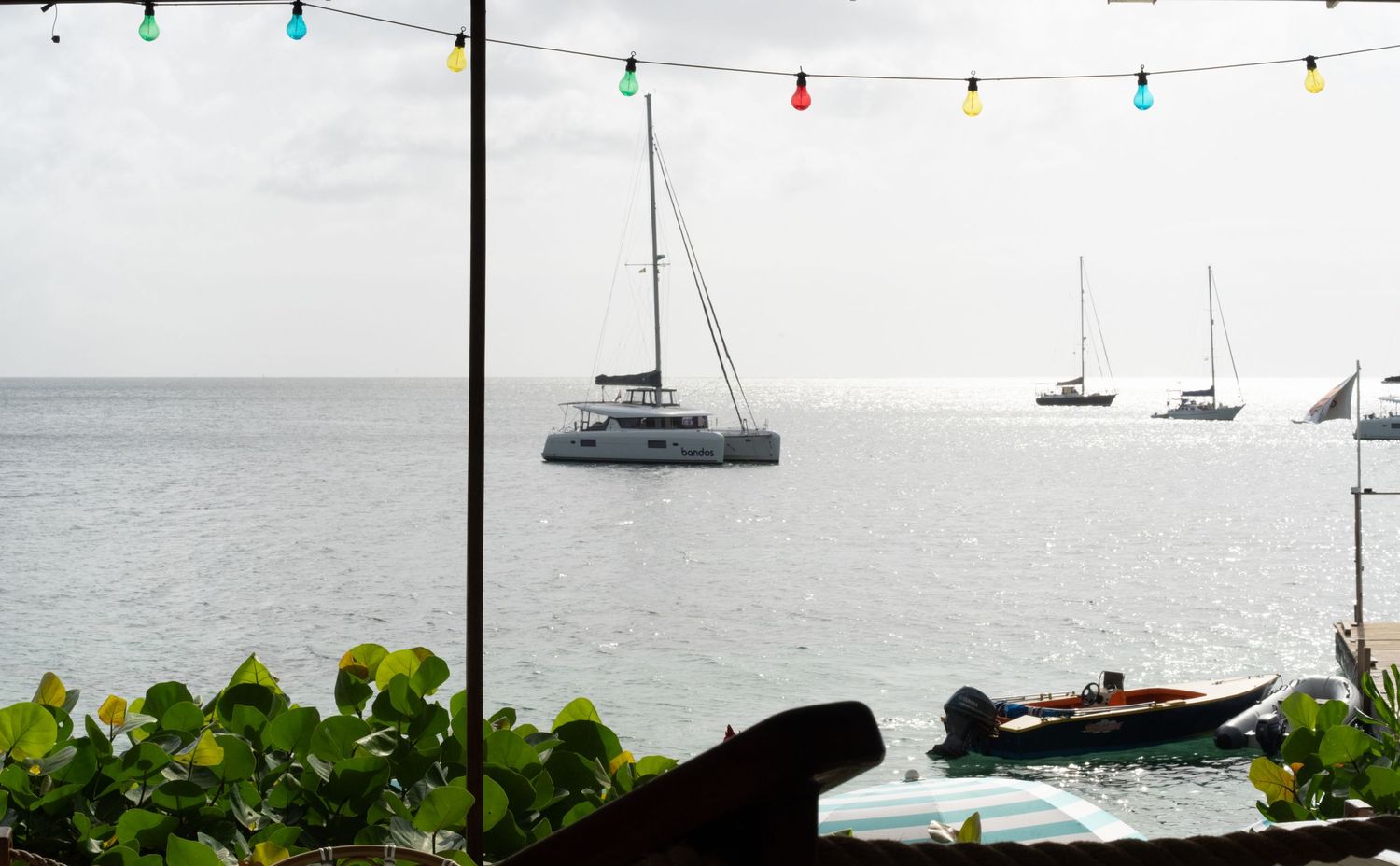 Sailboats and catamarans dot the calm waters of a scenic harbor on an overcast day.