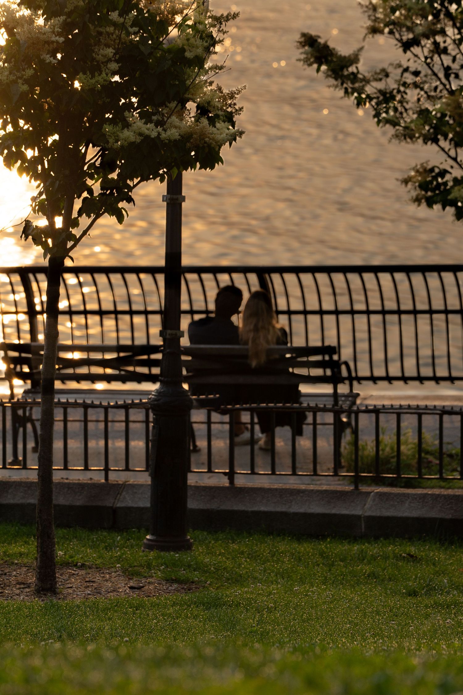 Silhouetted figures on a bench by waterfront during sunset with trees framing the scene.