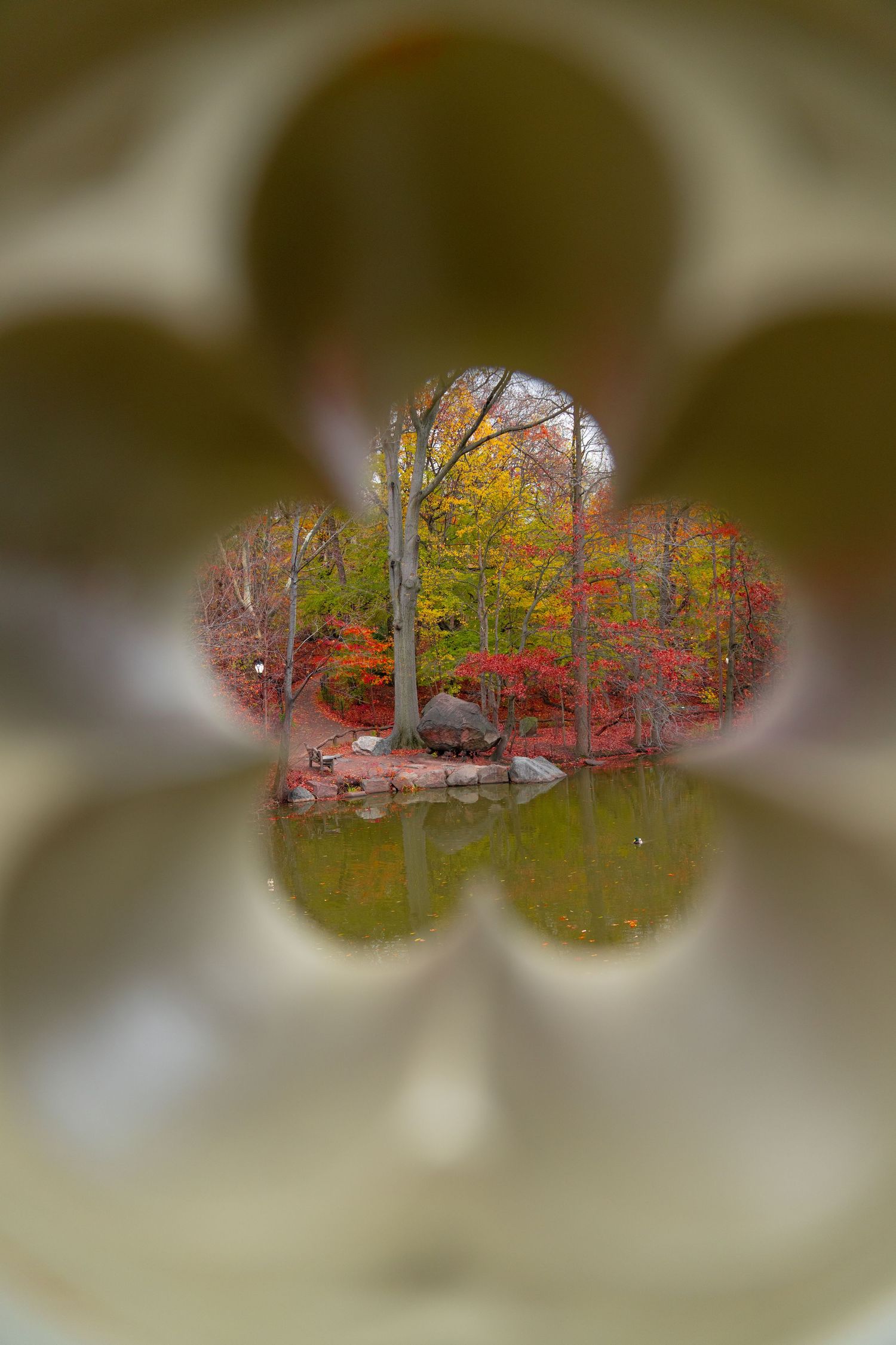 Autumn trees with vibrant red and orange foliage reflected in a pond, viewed through binocular-shaped vignette.