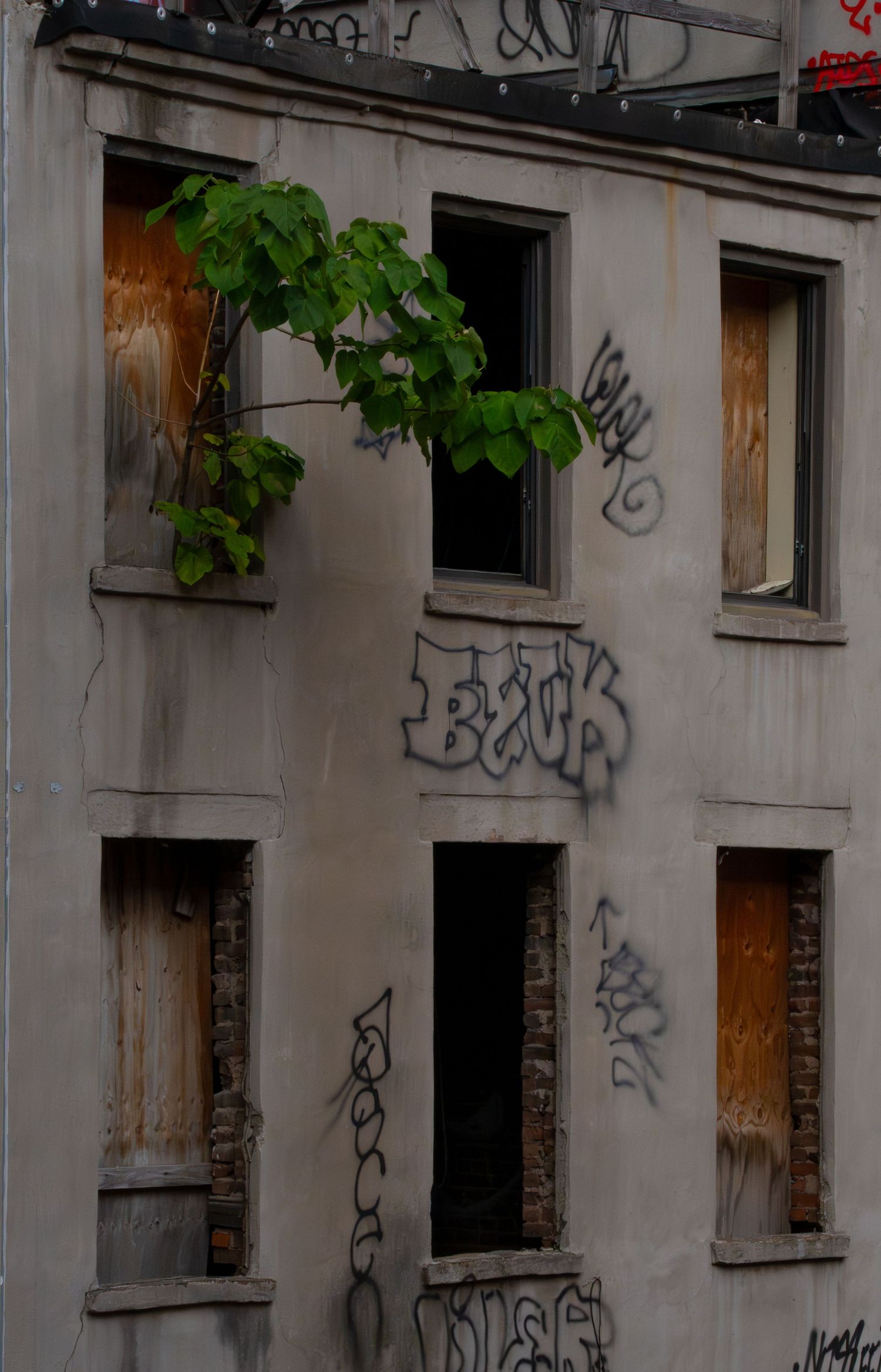 Exterior view of an abandoned building with graffiti-covered walls and boarded up windows.