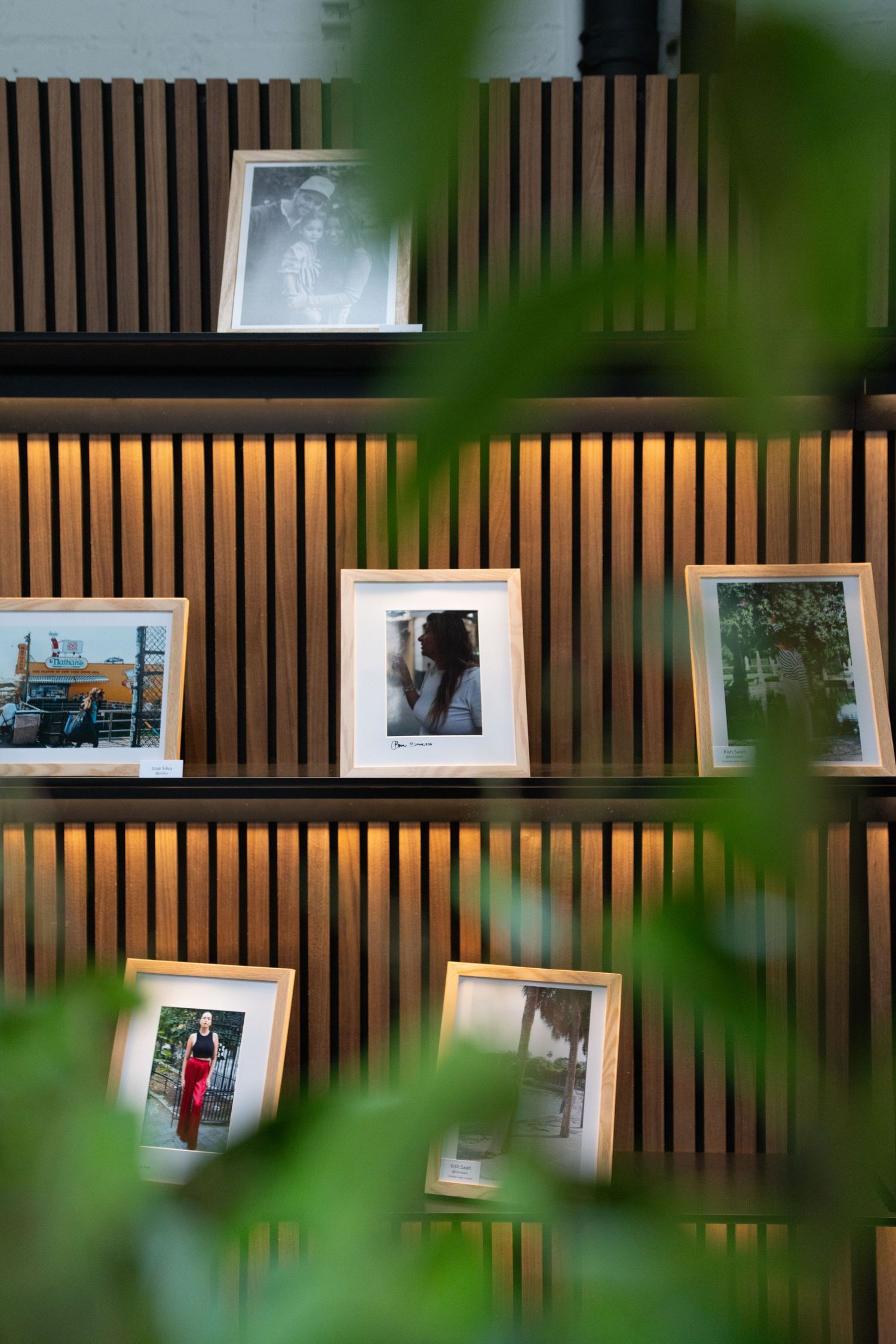 Photo gallery wall with framed images displayed on wooden slat background.