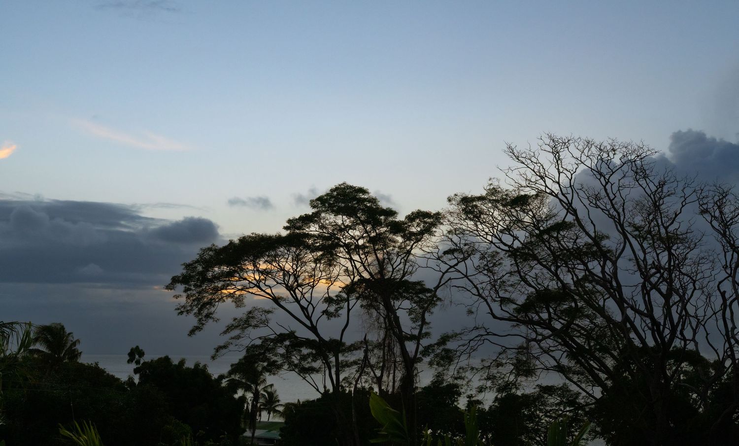 Silhouetted trees against a dusky sky with mountains in the background at sunset.
