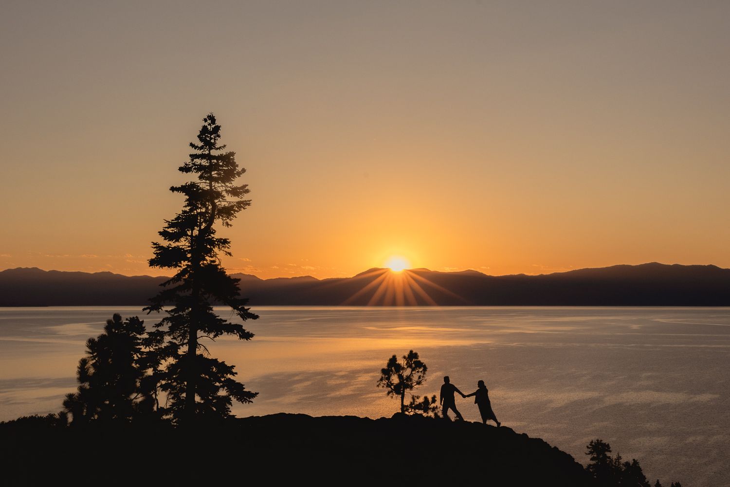 Couple silhouetted by a lone pine at a lakeside sunset, romantic Lake Tahoe engagement photography