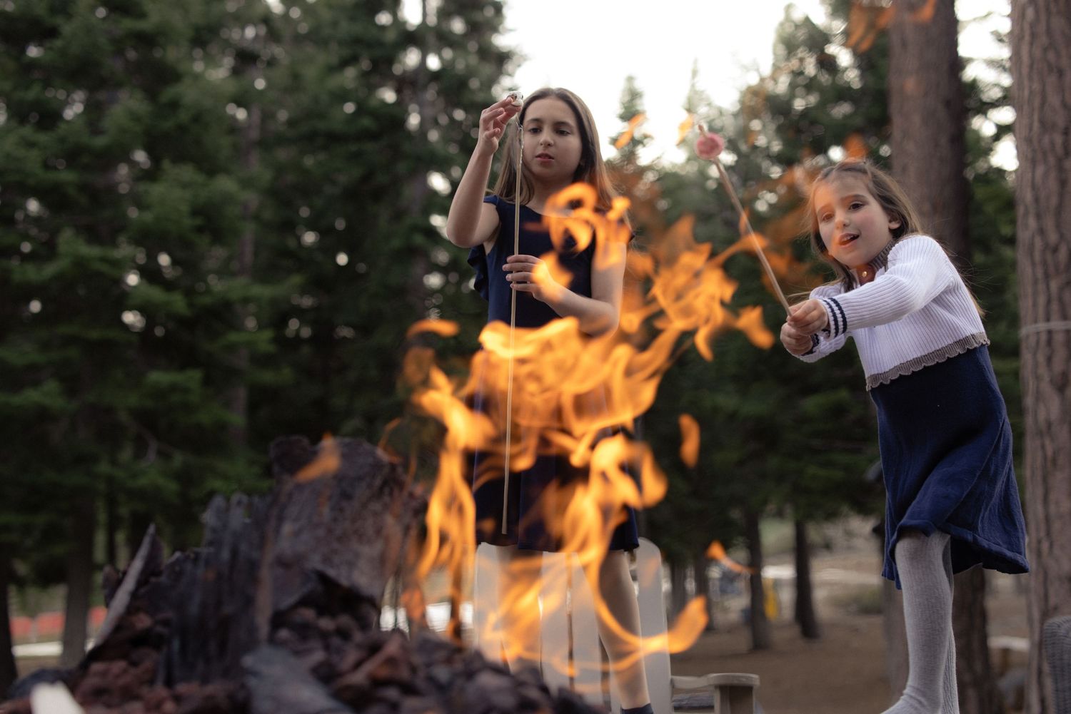 Two children roasting marshmallows over a glowing campfire in a pine forest at dusk, cozy family session