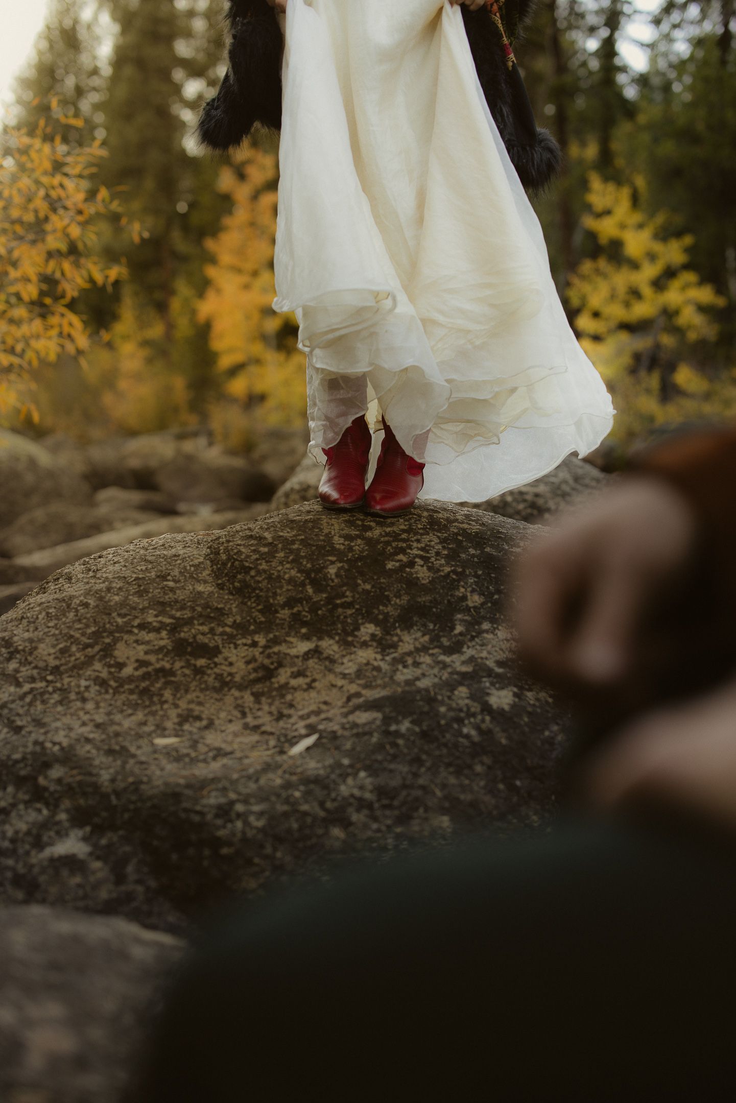 Bride walking into a golden aspen forest, by Sammy Aucella Photography