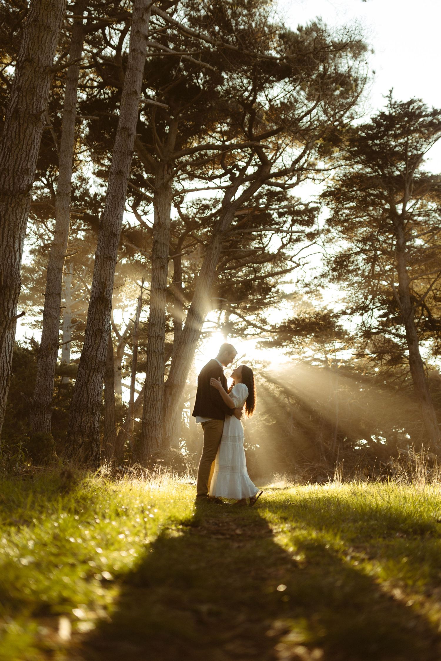 Couple in sunlit redwood and pine forest at Stone Ranch during engagement session in Gualala California Mendocino CA by Sammy Aucella Photog
