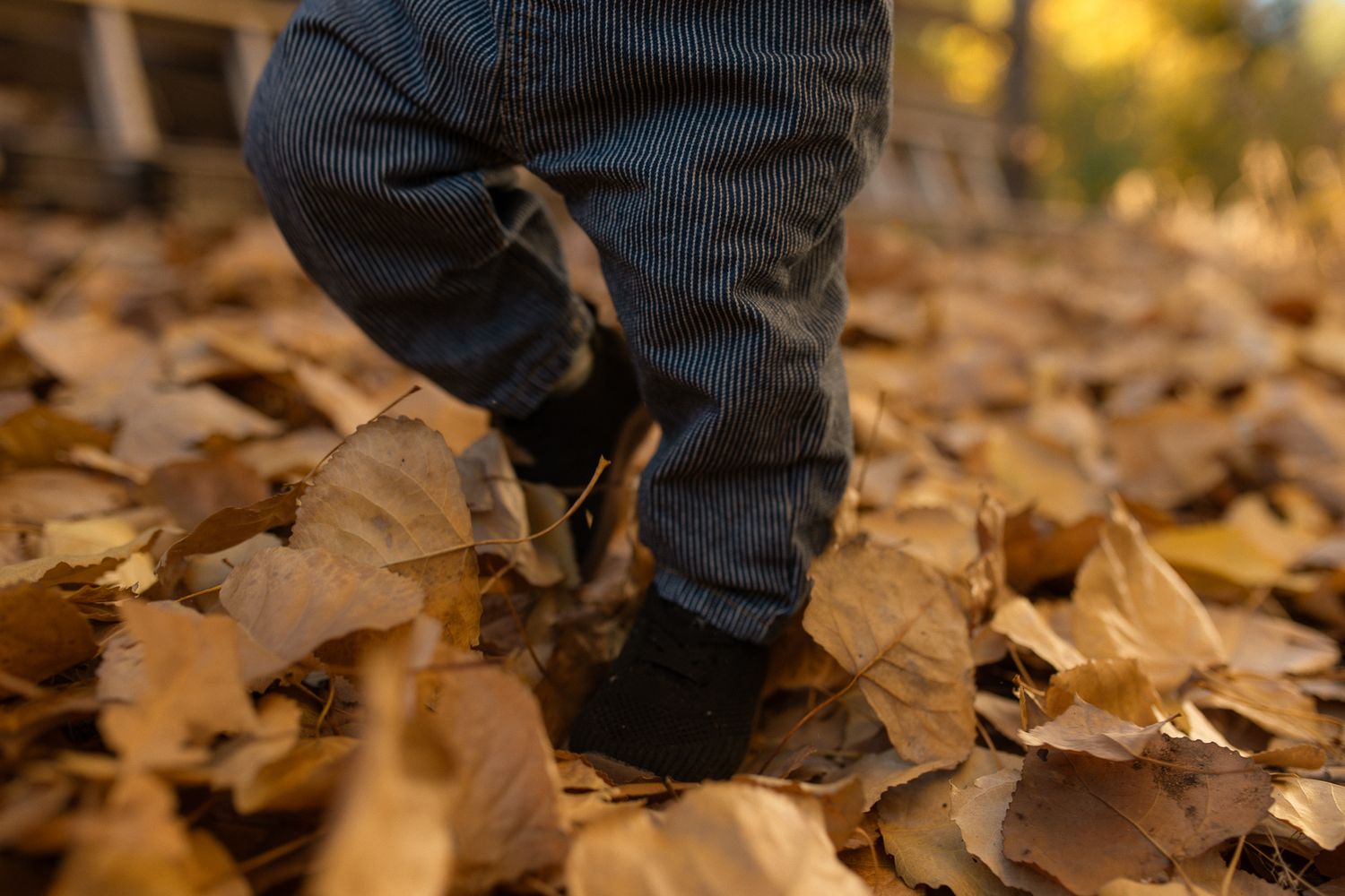 Close-up of a child's feet shuffling through fallen autumn leaves, sweet family session detail