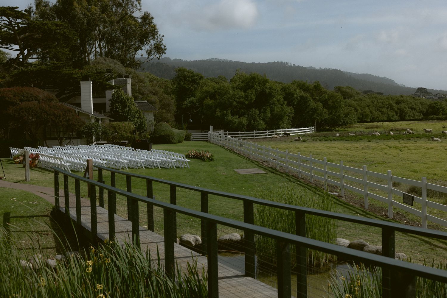 Outdoor ceremony with mountain views at a Mission Ranch wedding in Carmel, California, by Sammy Aucella Photography