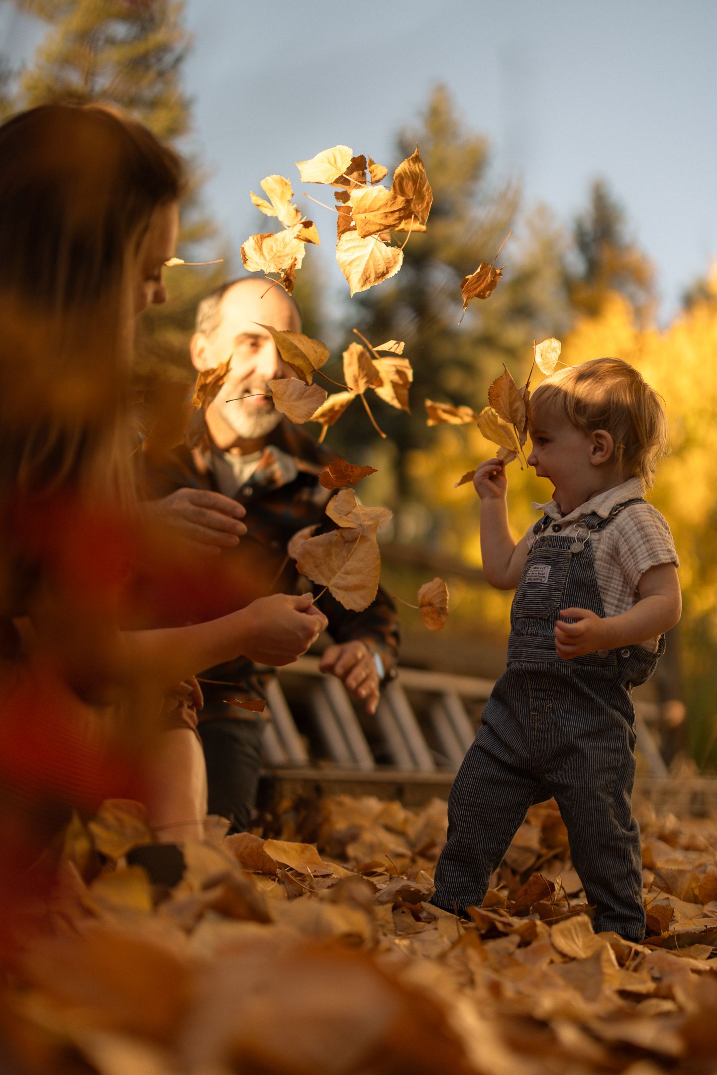 Family playing together among golden autumn leaves, warm candid family session