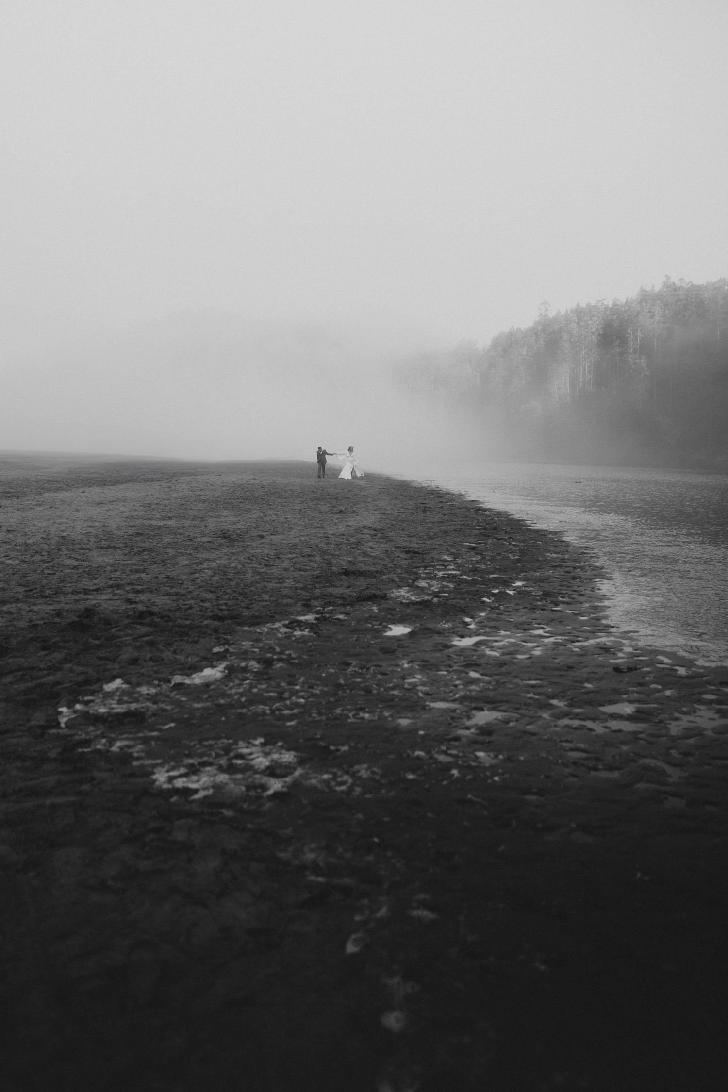 Fine art cinematic portrait of the couple framed by the Mendocino fog and coastline, by Sammy Aucella Photography
