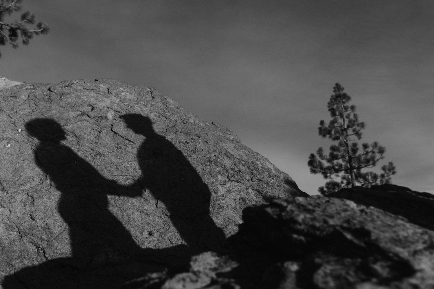 Black and white silhouette of a proposal on a rocky overlook by a lone pine, emotional Lake Tahoe engagement photography