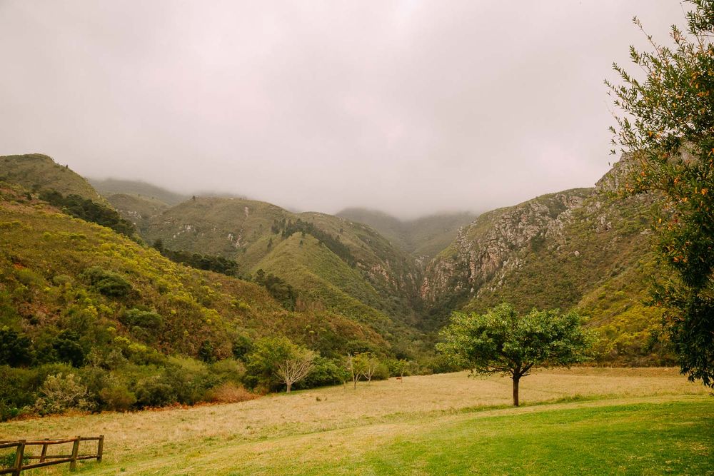 Jacques + Amari | Because I love | God's Window, Swellendam - Maggie ...
