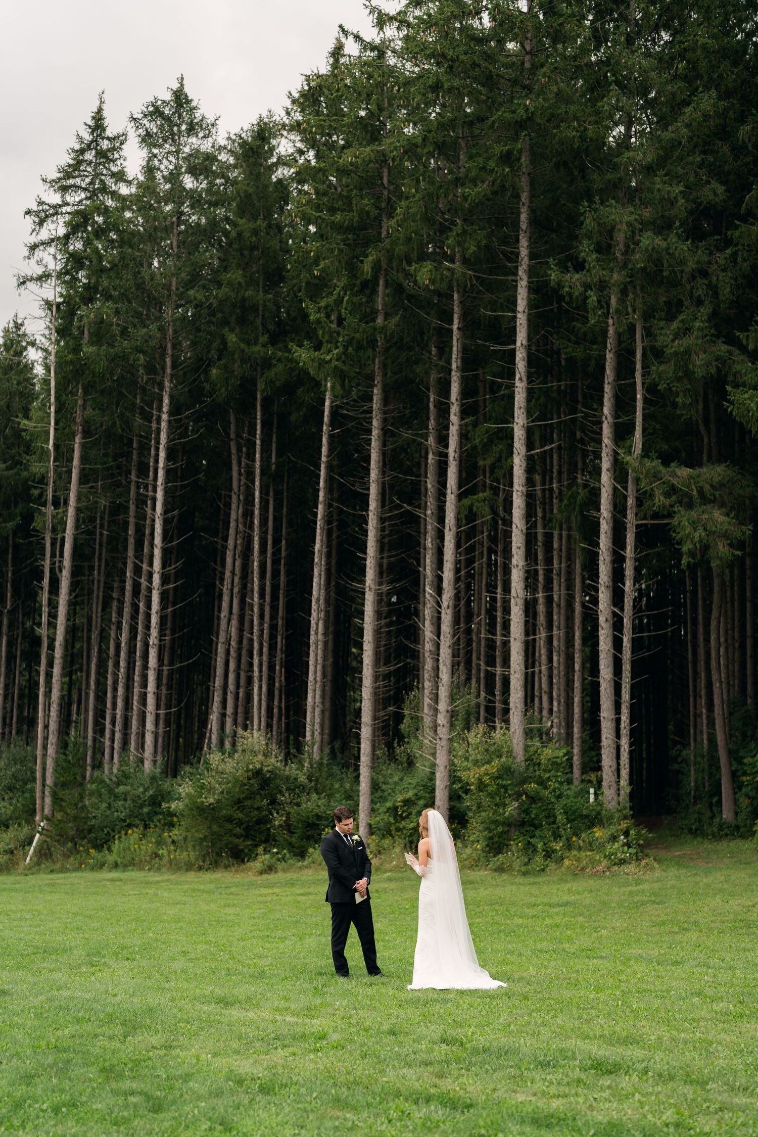 Bride and groom share a romantic moment on a green lawn surrounded by tall evergreen trees on their wedding day.