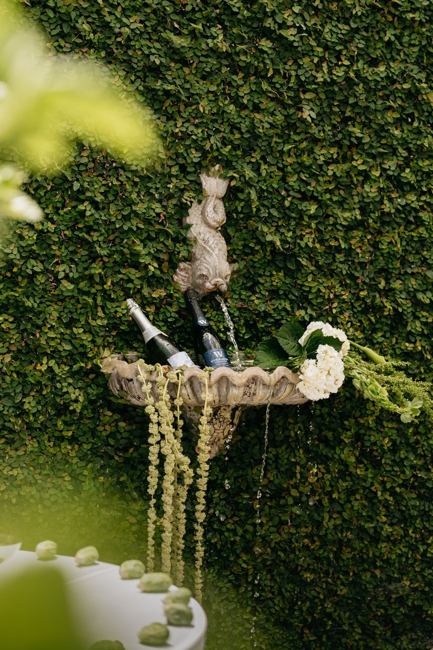 Stone fountain with wine bottles and white flowers against a lush green hedge wall with cascading greenery.