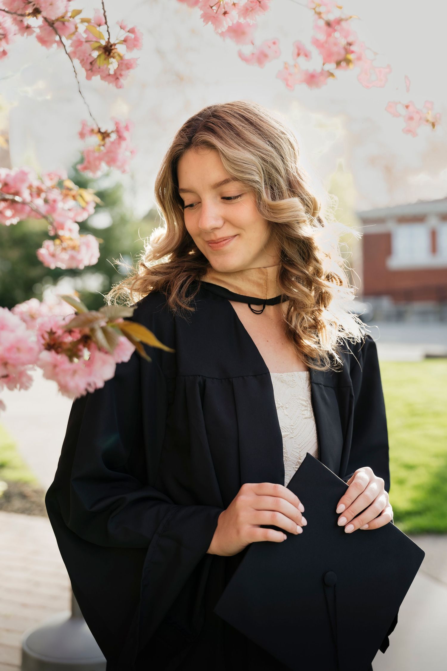 Elegant graduation photos with black academic gown against blooming spring cherry blossoms.