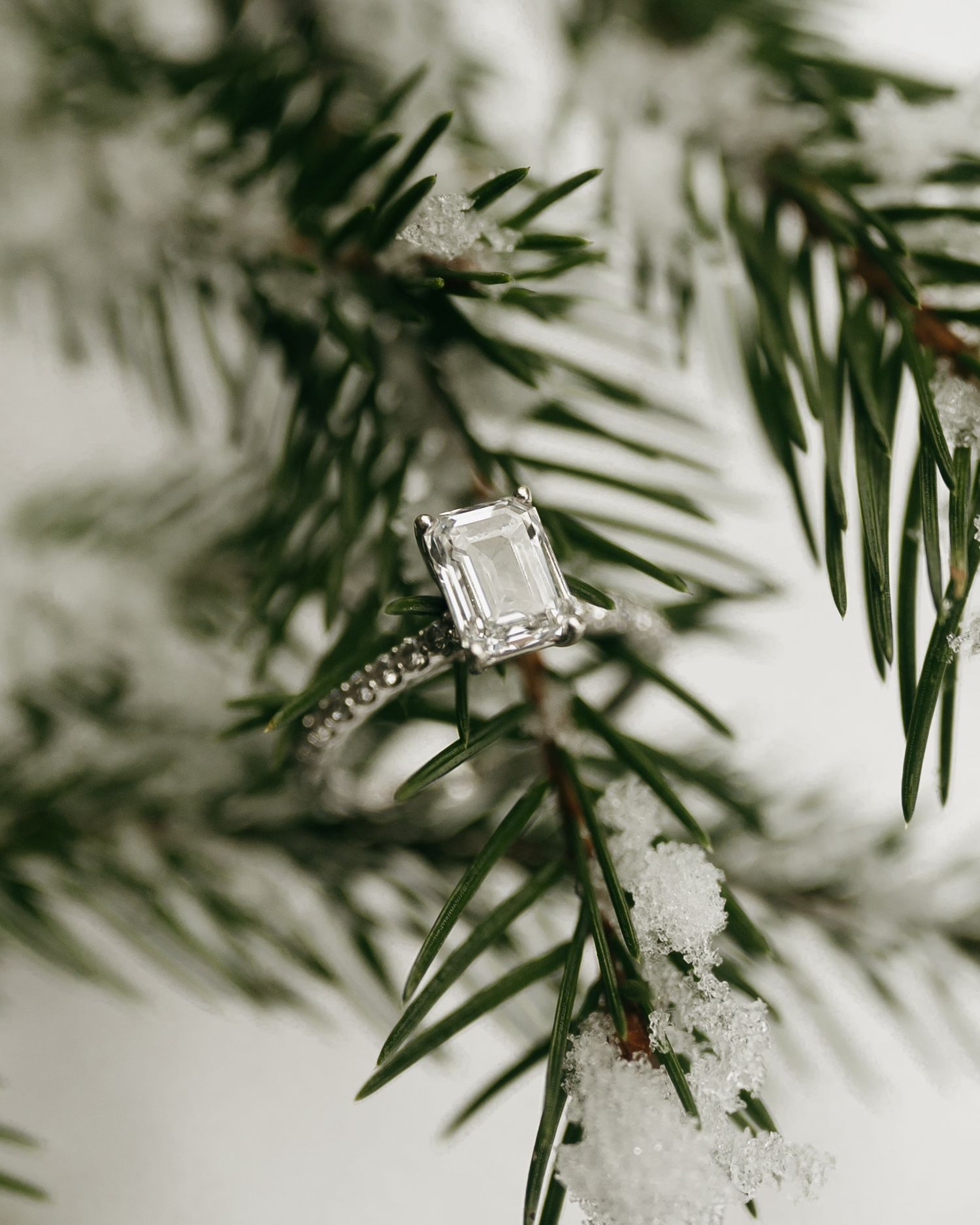 A sparkling diamond engagement ring rests on snowy pine branches in a close-up macro shot.