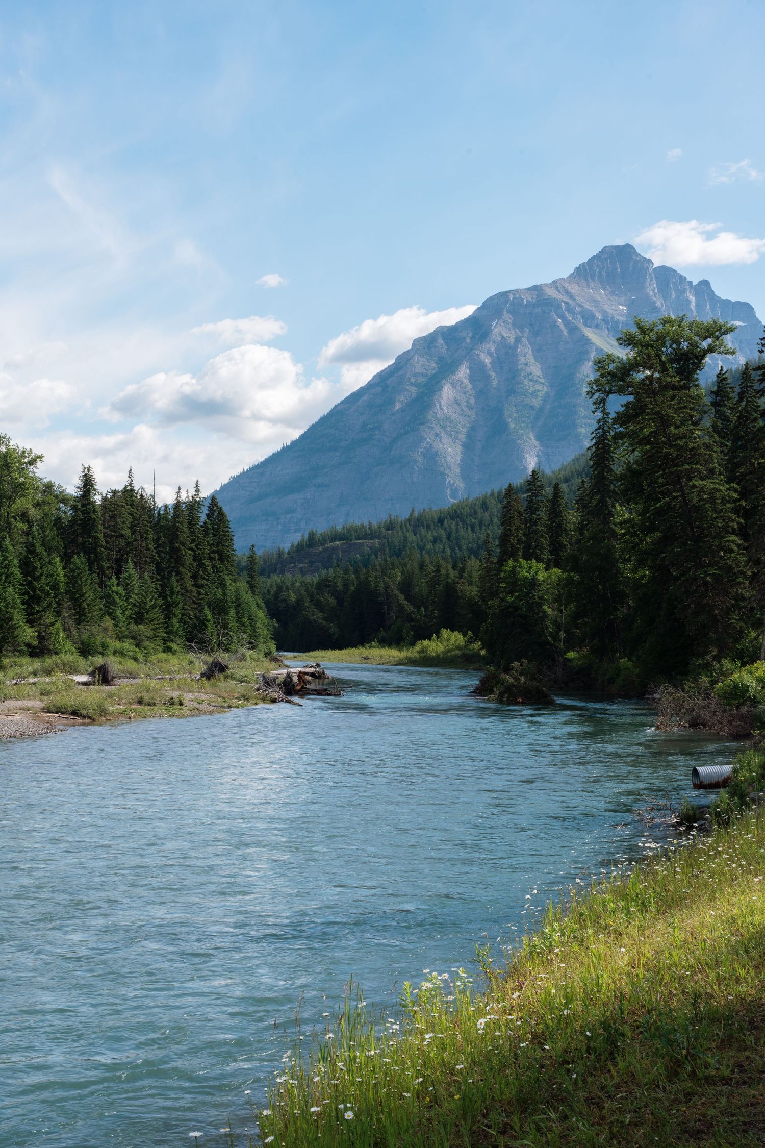 A serene turquoise river flows through a lush evergreen forest with a majestic mountain peak under a blue sky.