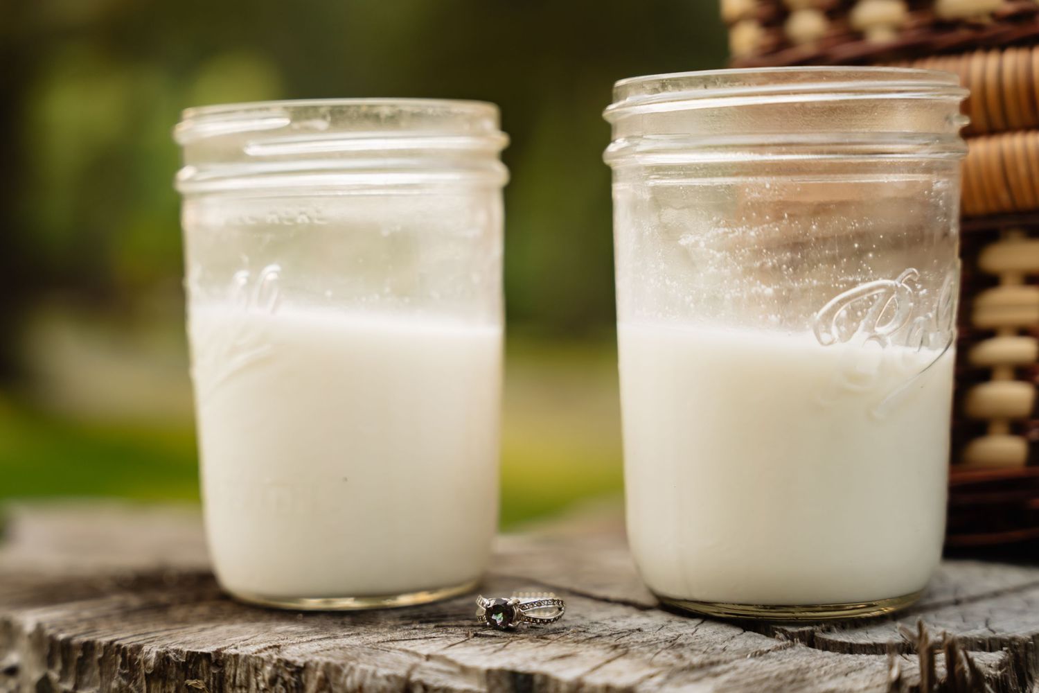 Four mason jars filled with fresh homemade yogurt arranged in a row on a rustic wooden surface.