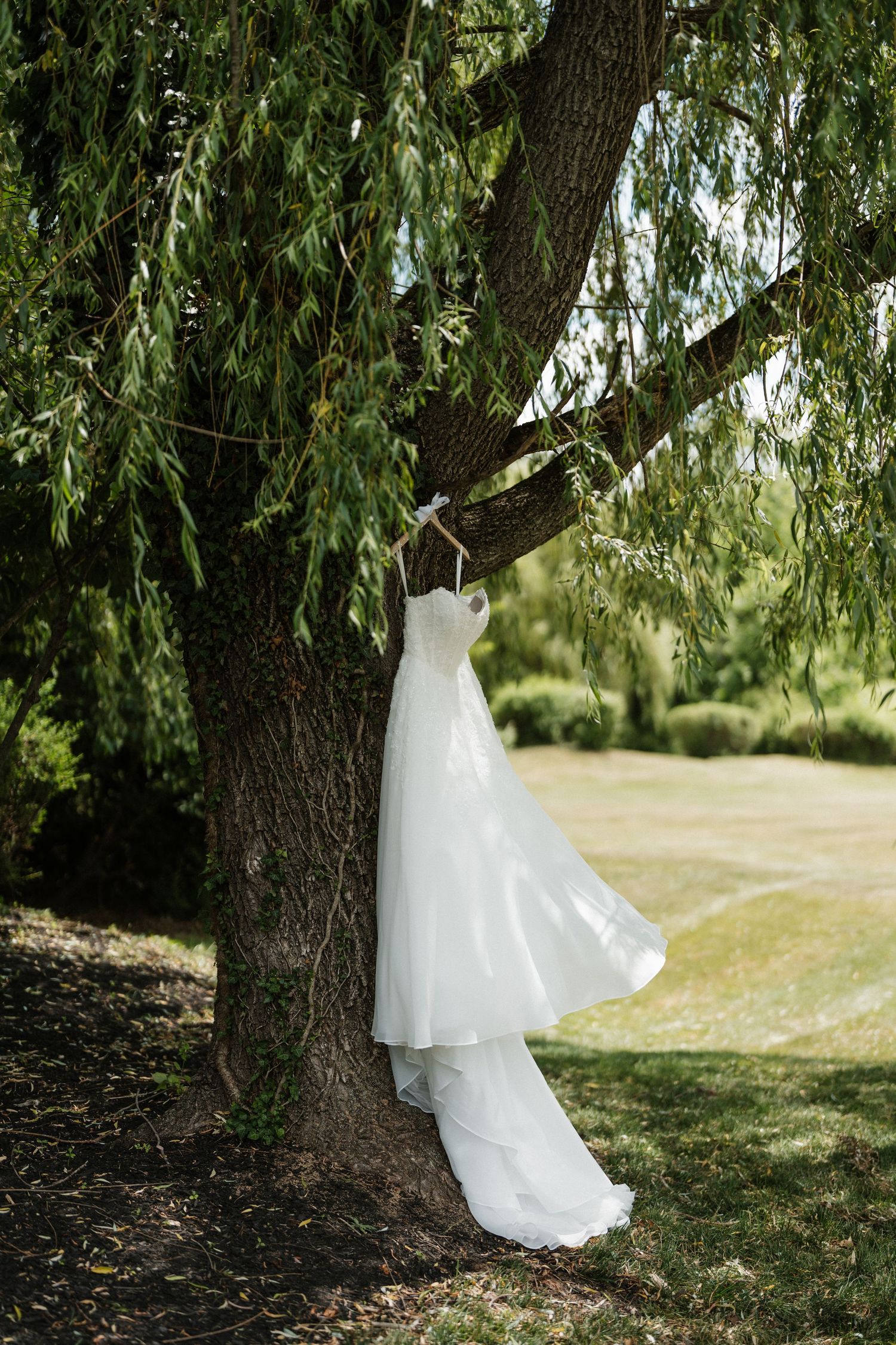 White wedding dress hanging from a willow tree branch in a lush green garden setting.