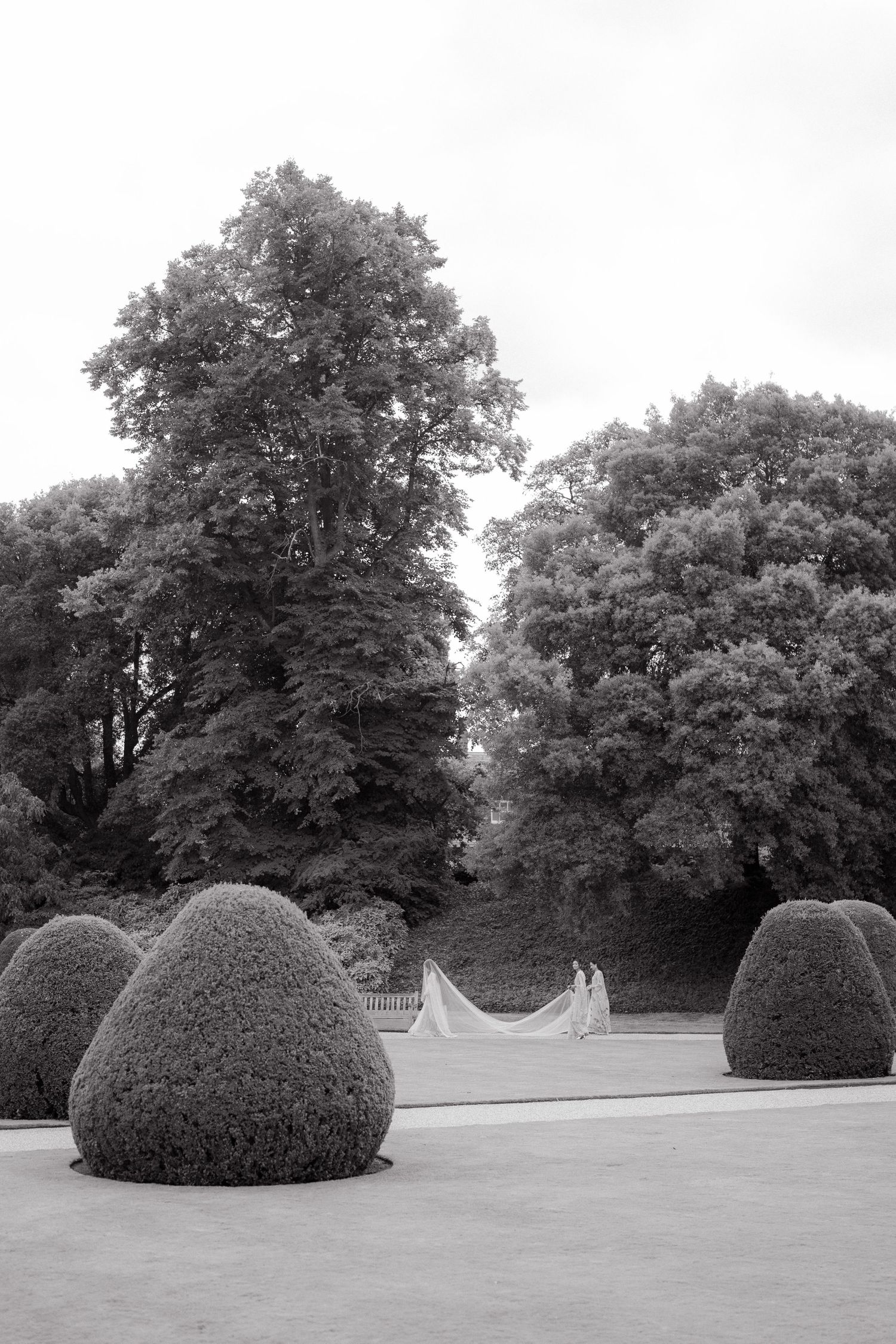 Black and white garden landscape with rounded topiary shrubs and tall trees in the background.