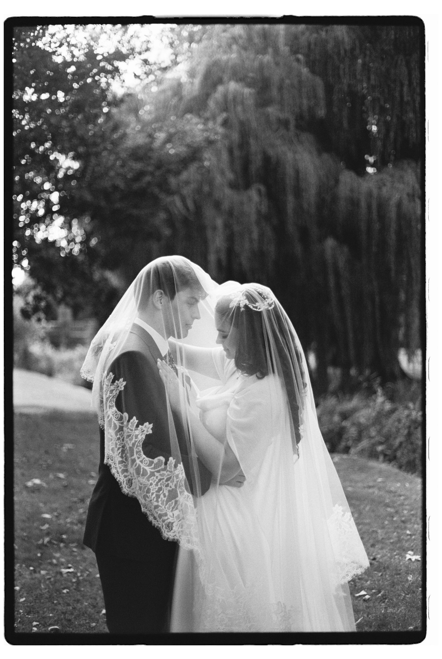 Black and white wedding photo of a bride and groom sharing an intimate moment under a lace veil beside a willow tree.