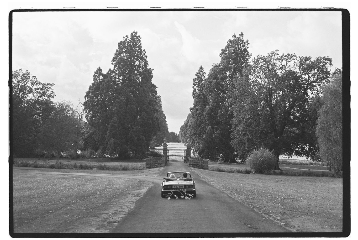 Black and white photo of a vintage convertible car driving down a tree-lined country road toward a distant gate under a cloudy sky.